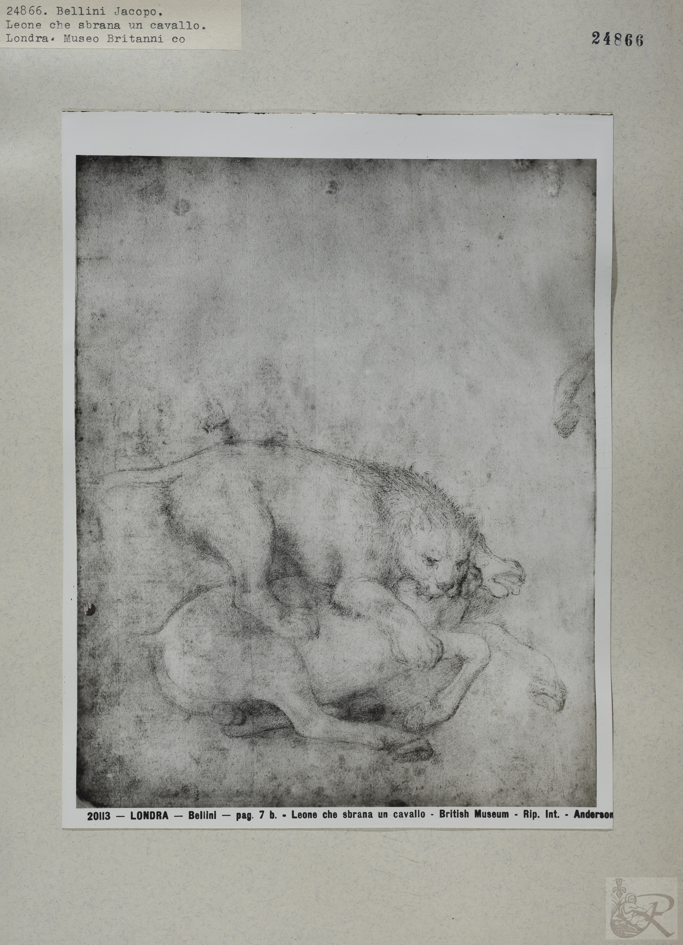 Immagine di anteprima