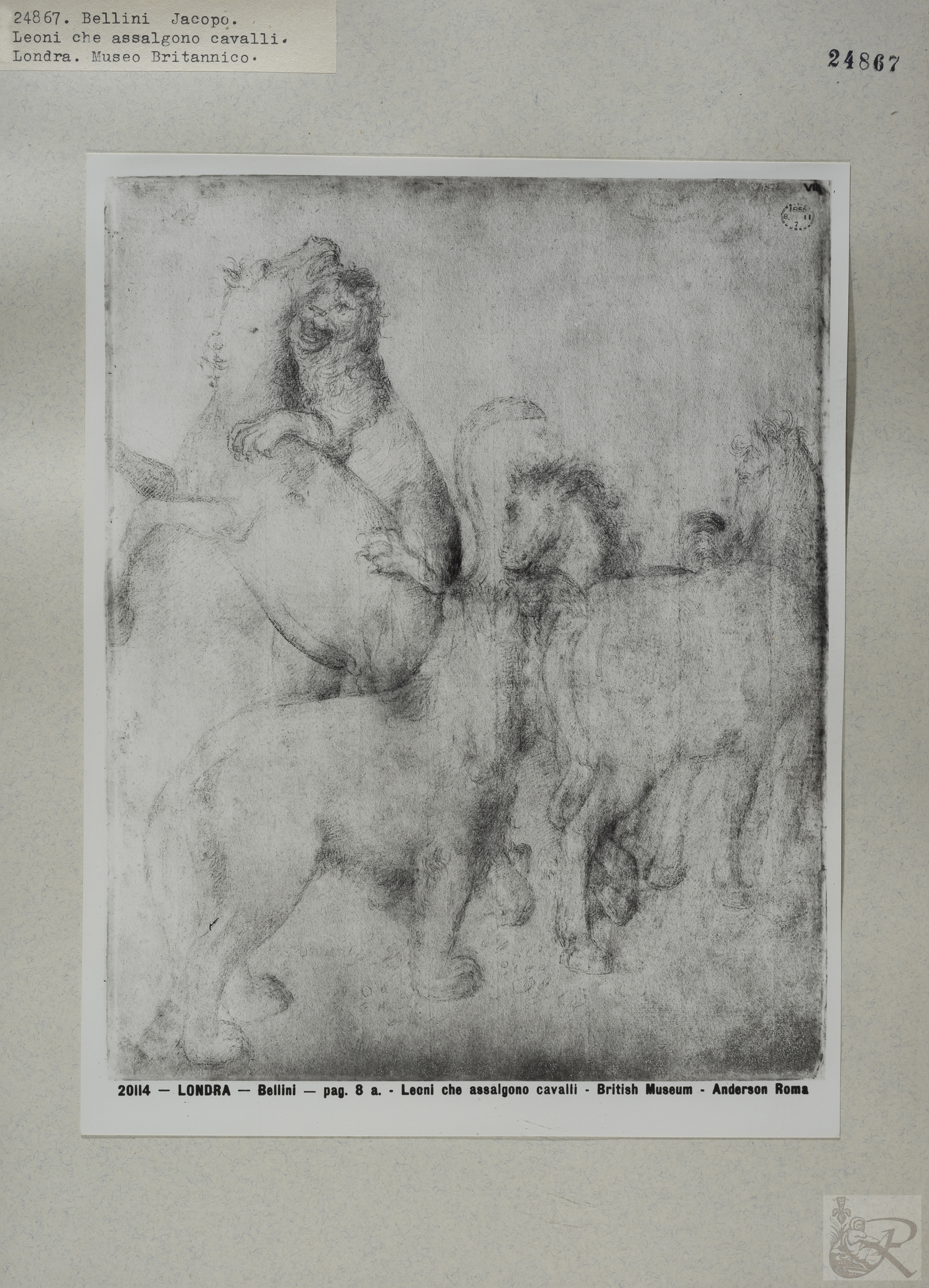 Immagine di anteprima