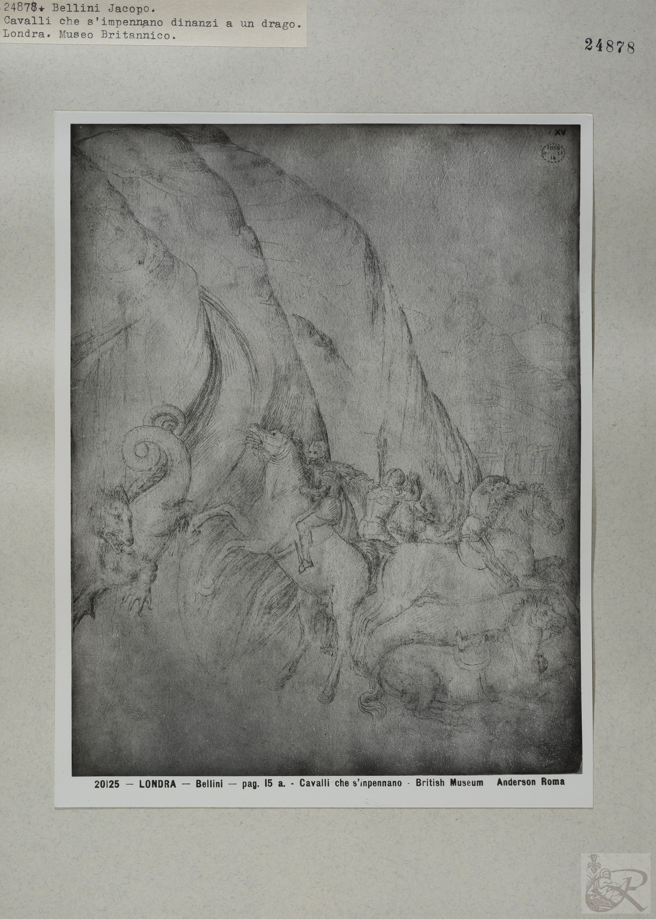 Immagine di anteprima