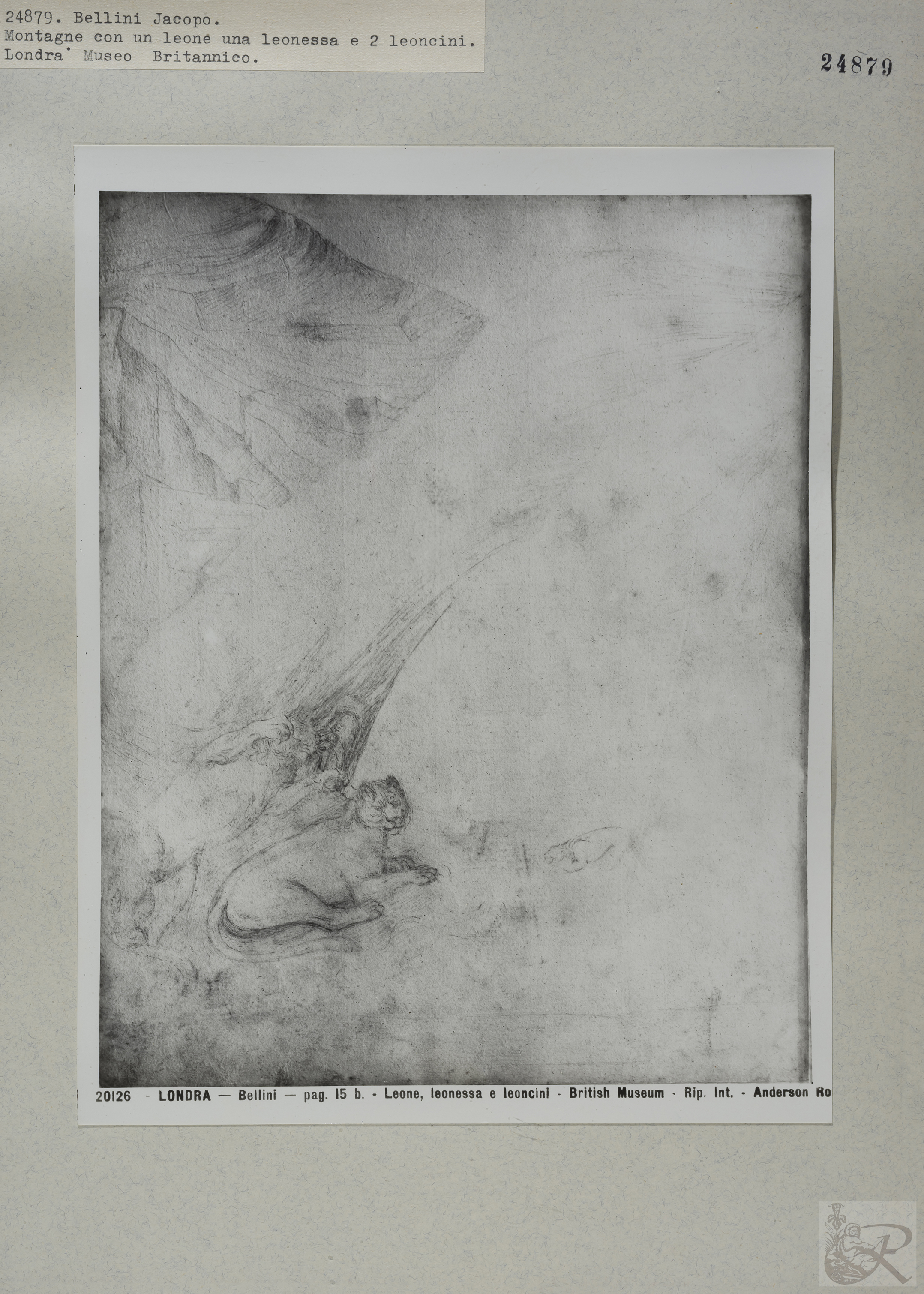 Immagine di anteprima