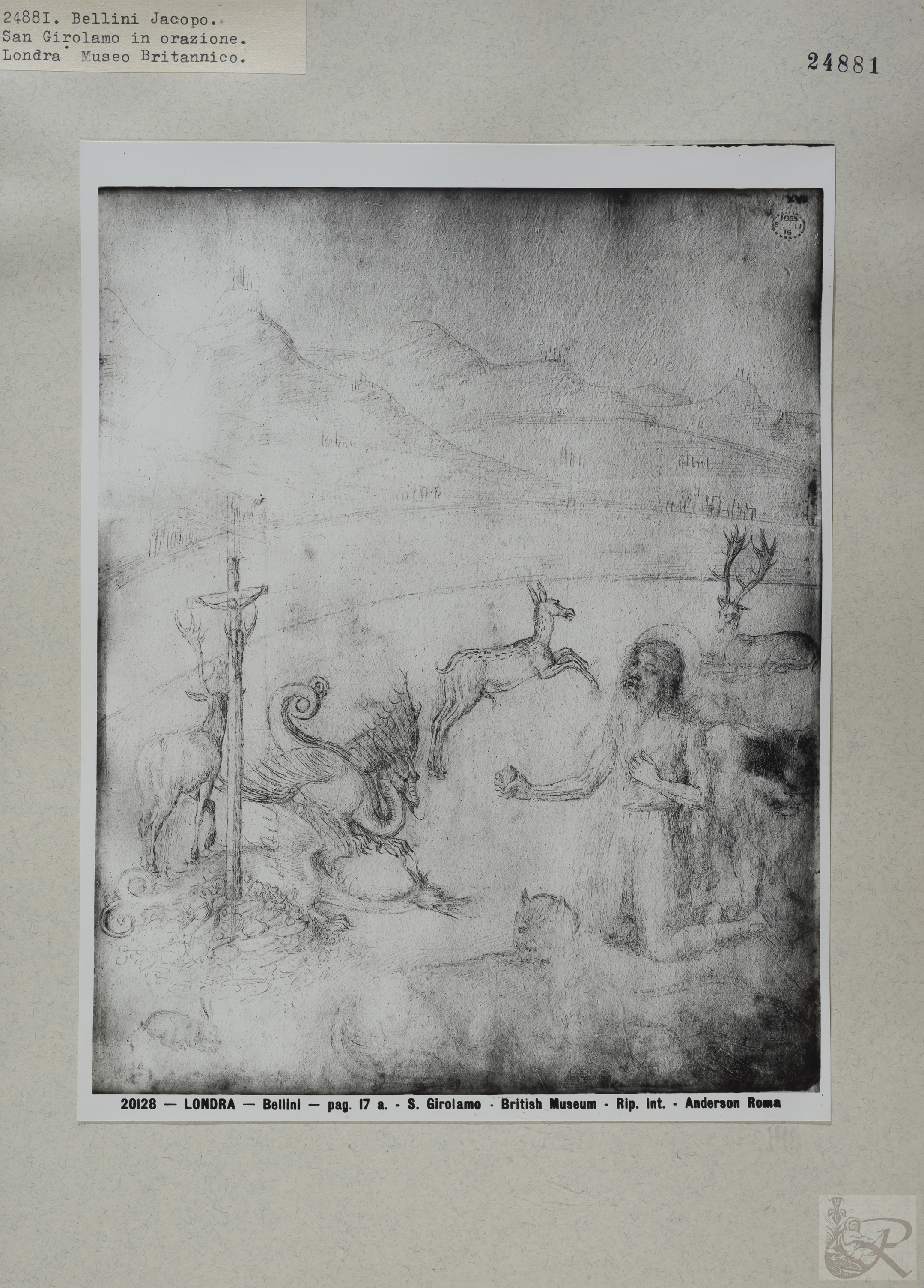 Immagine di anteprima