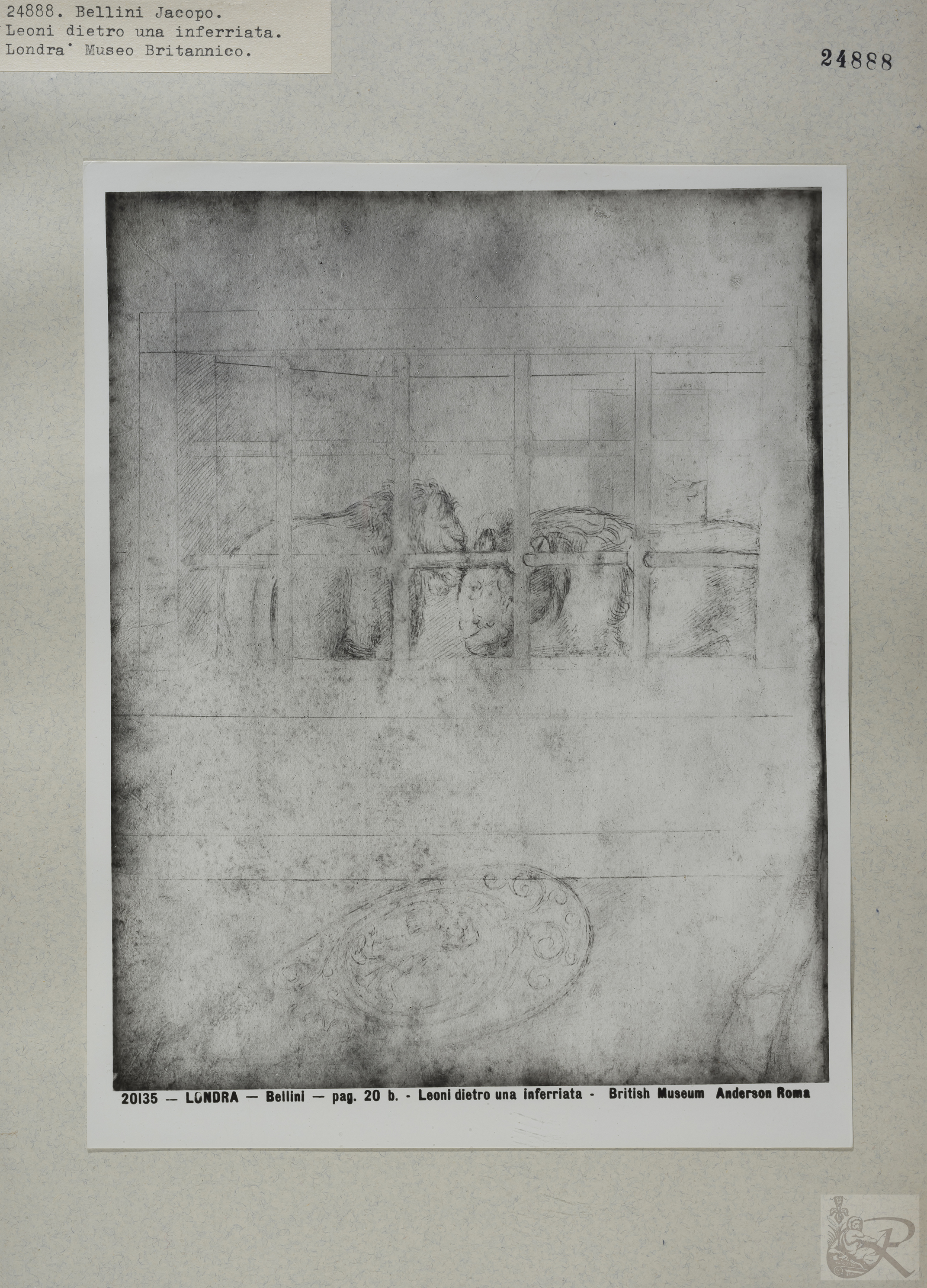 Immagine di anteprima