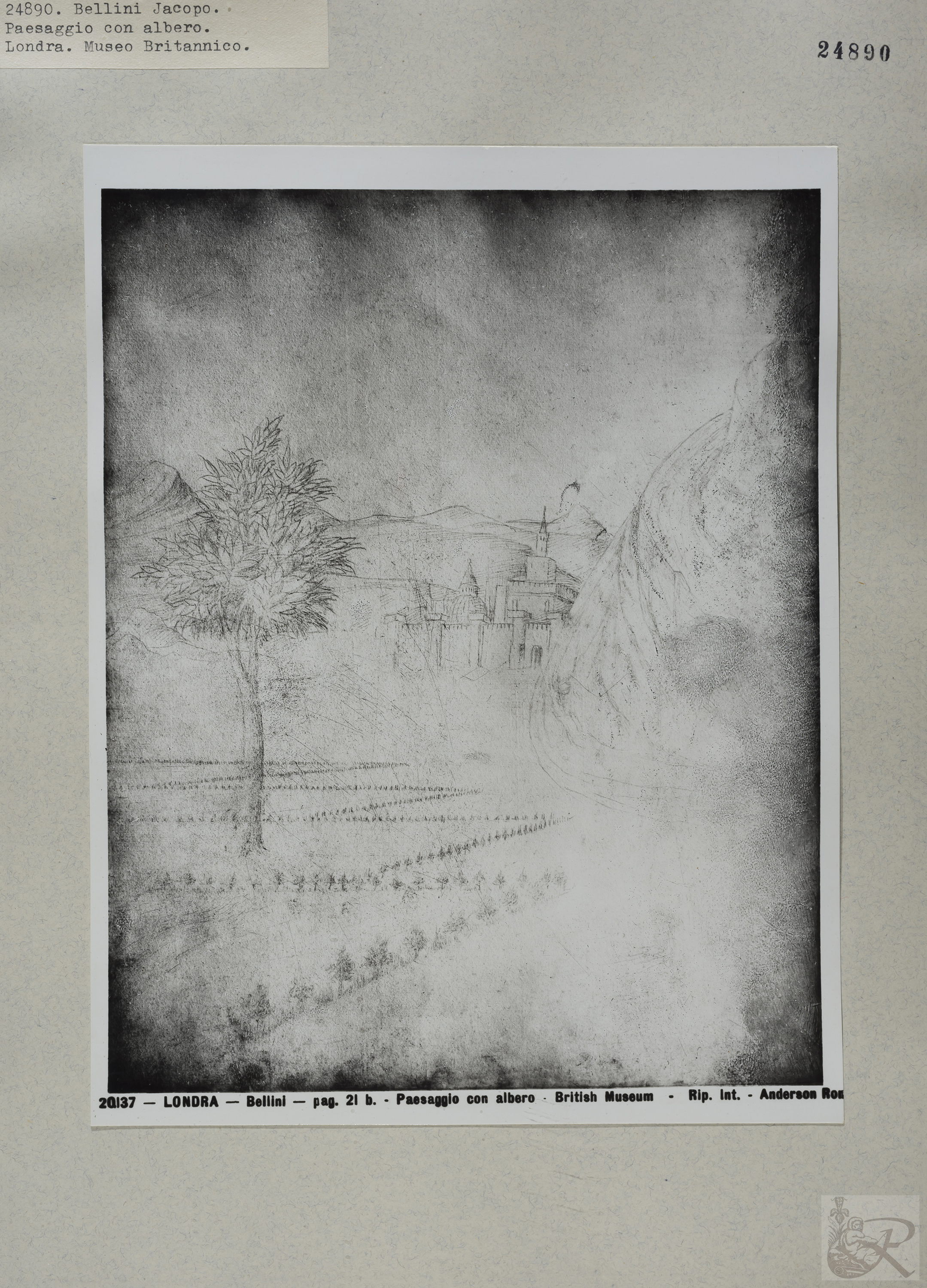 Immagine di anteprima