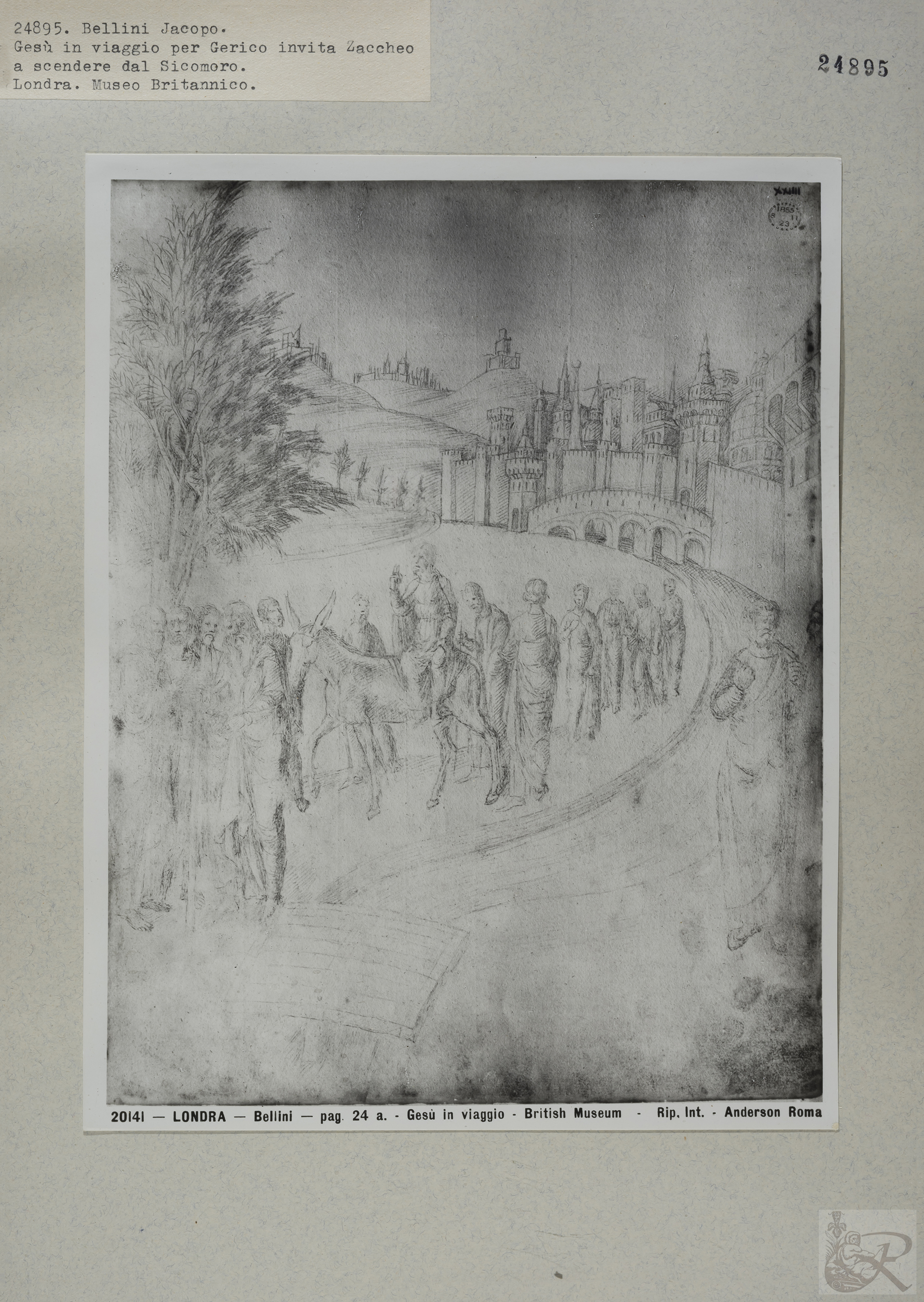 Immagine di anteprima