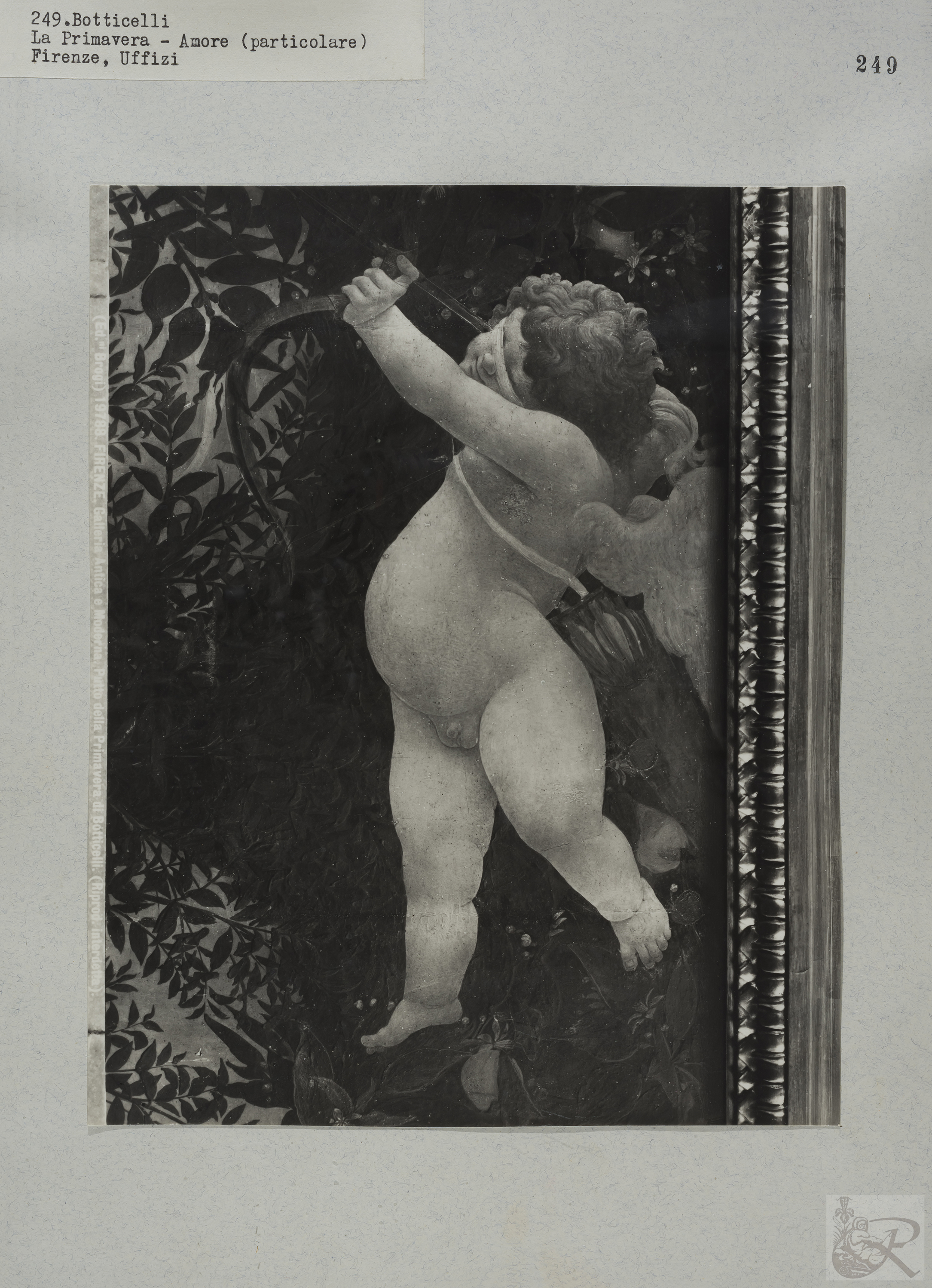 Immagine di anteprima