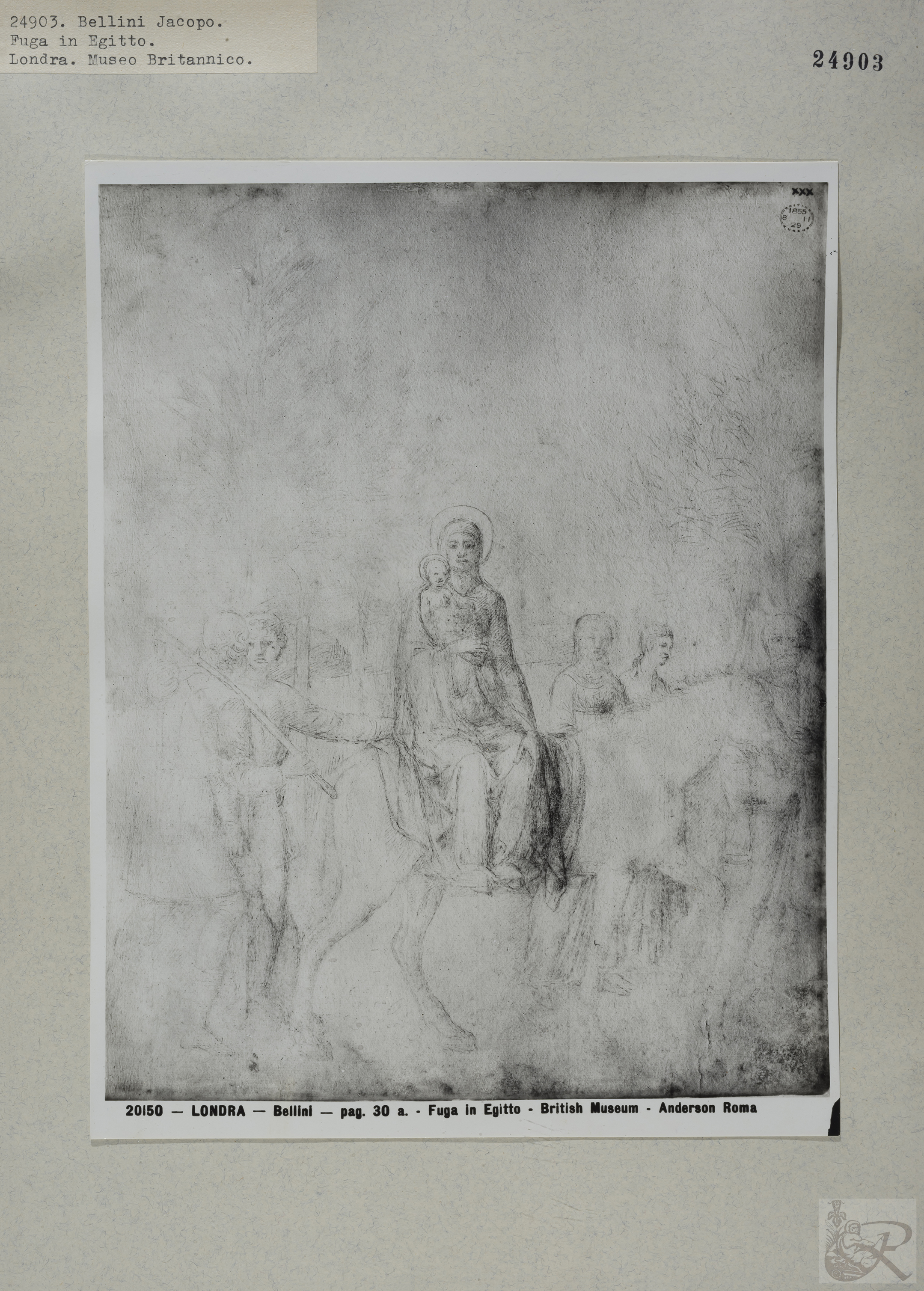 Immagine di anteprima