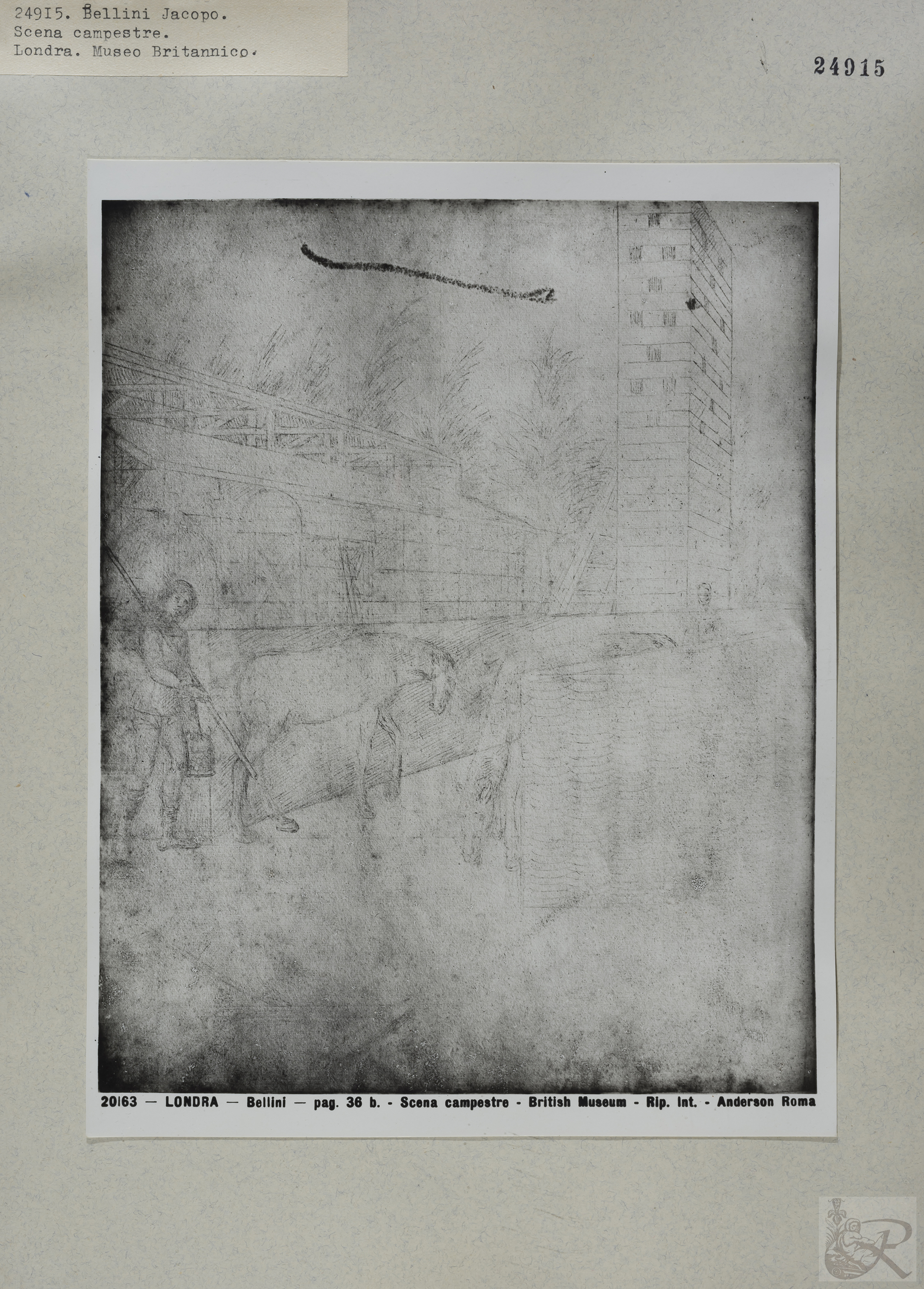 Immagine di anteprima