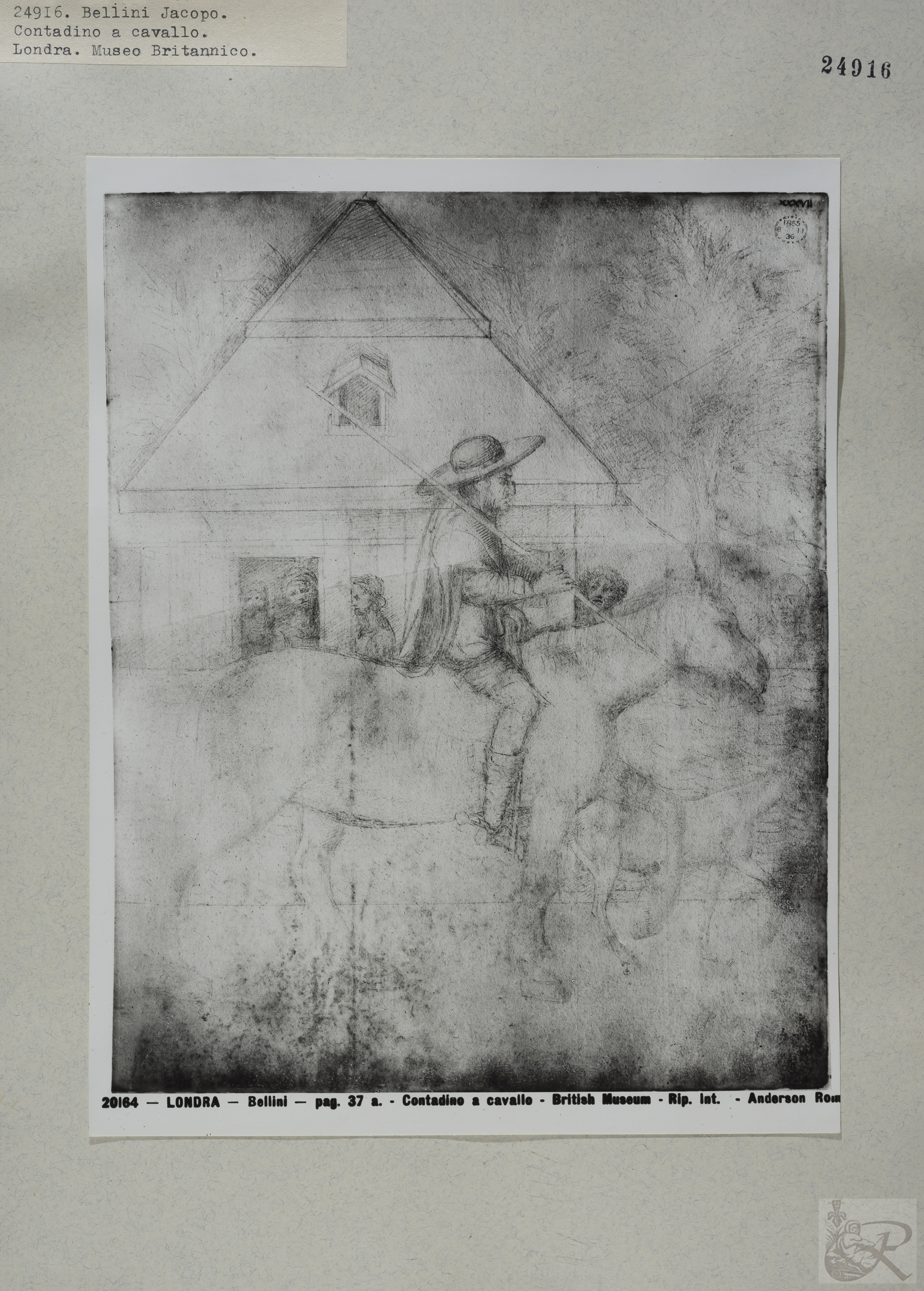 Immagine di anteprima