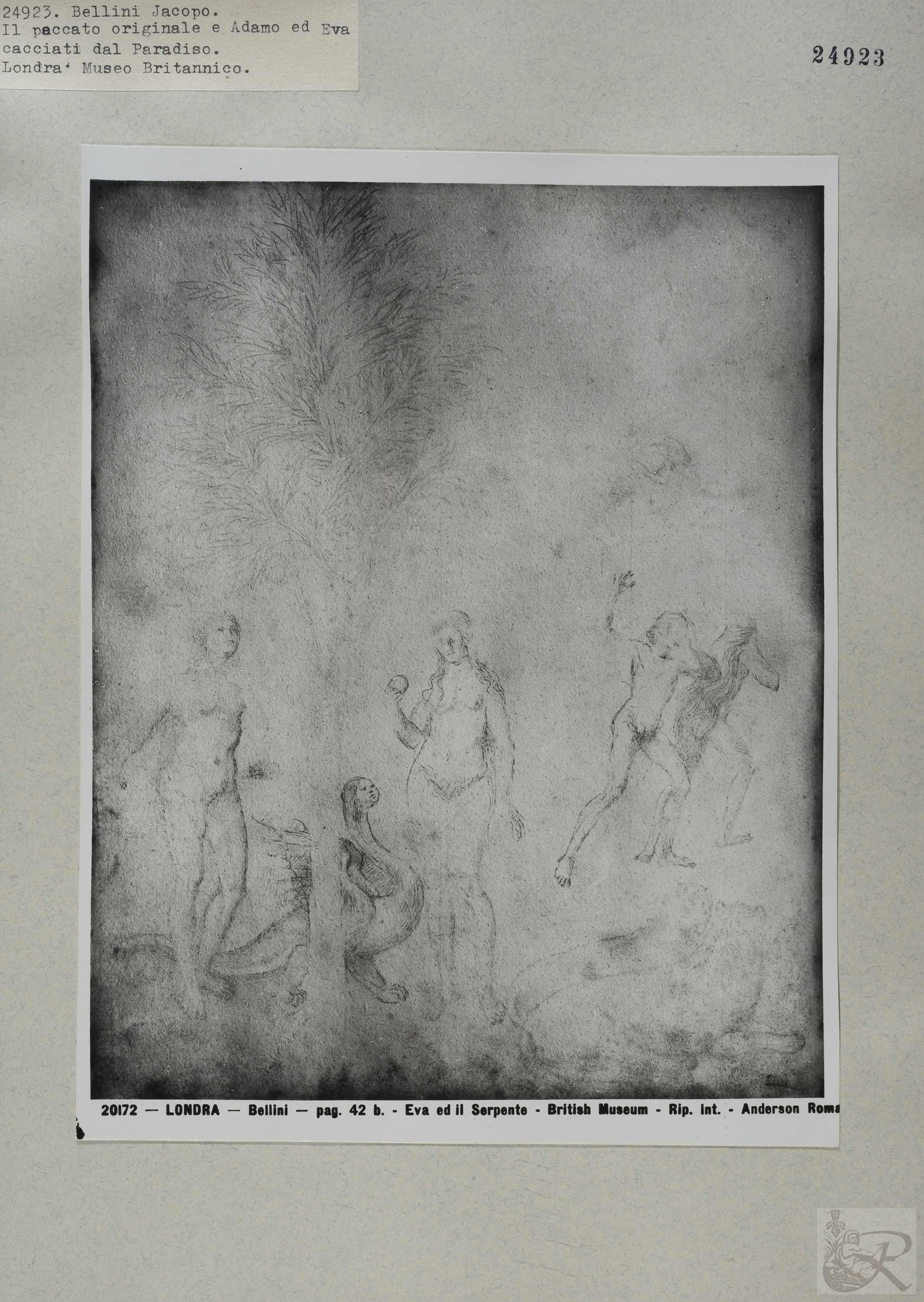 Immagine di anteprima