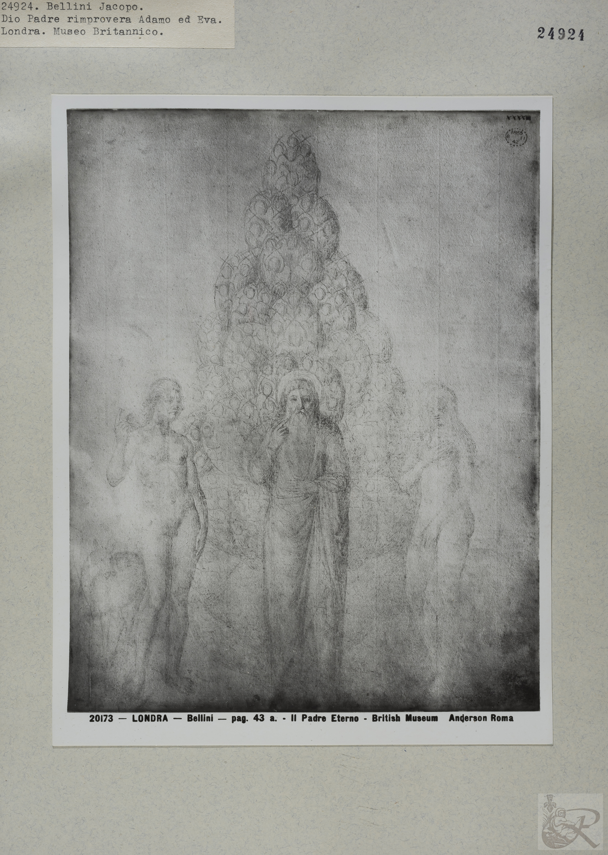 Immagine di anteprima