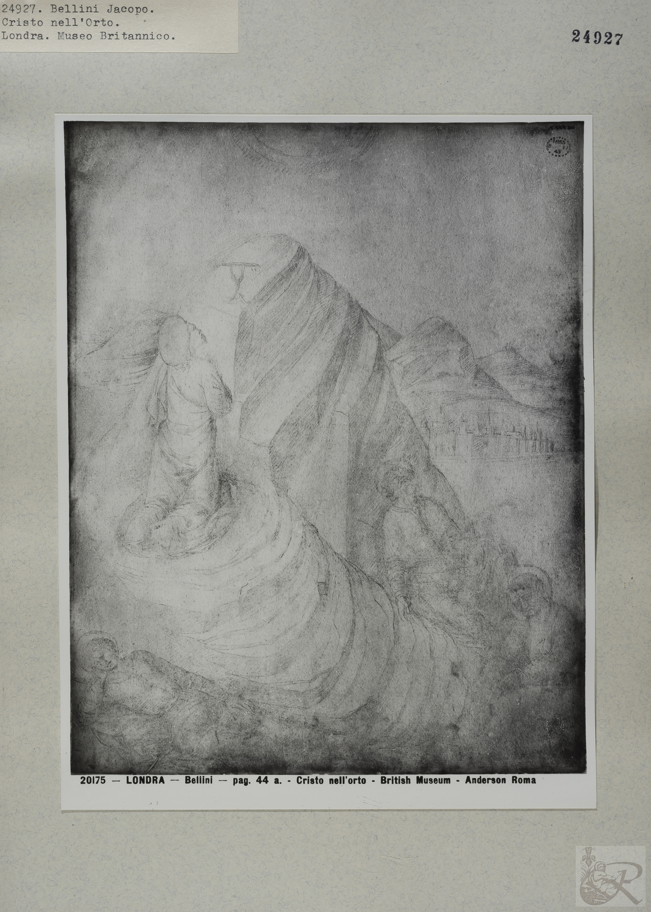 Immagine di anteprima