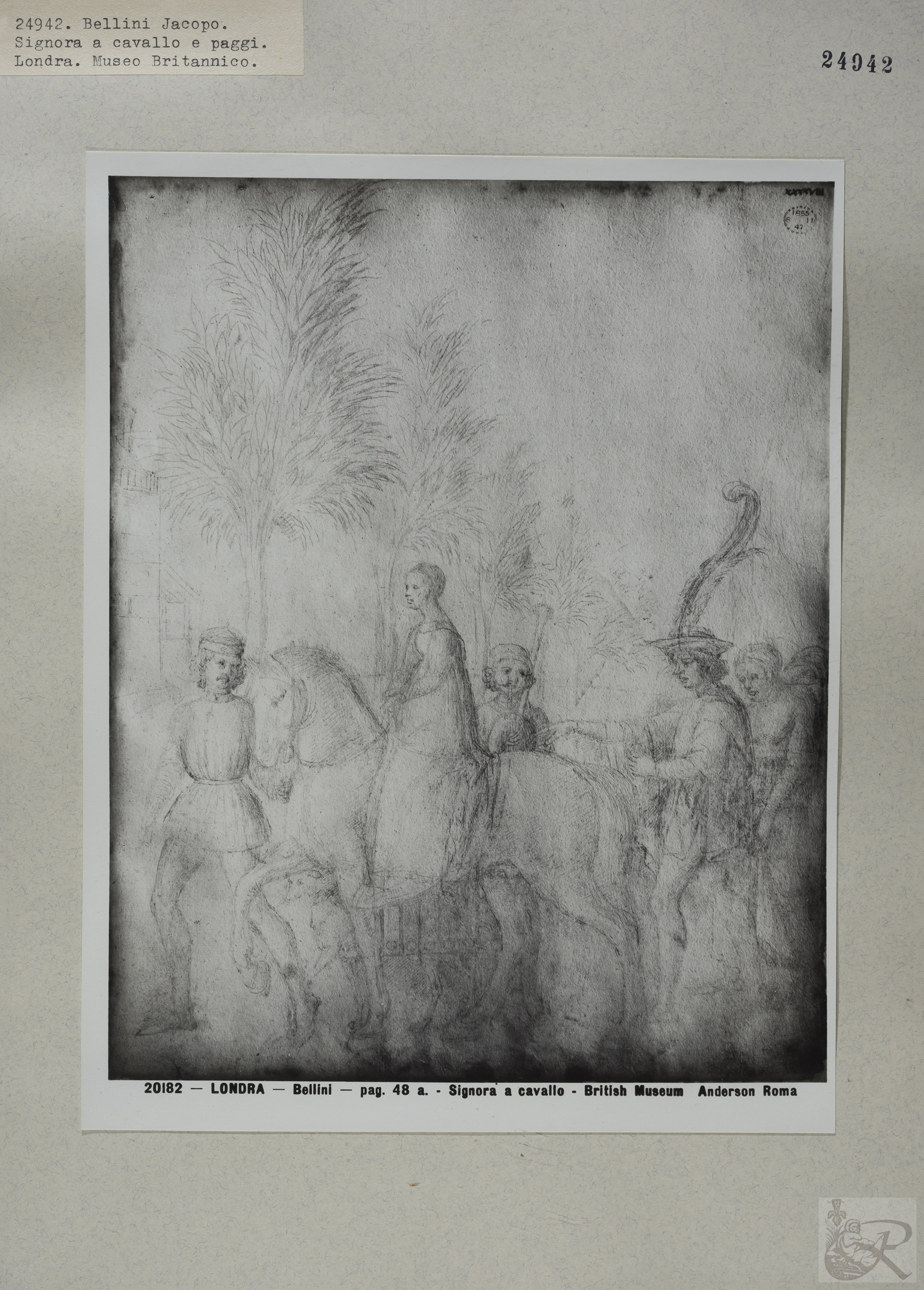 Immagine di anteprima