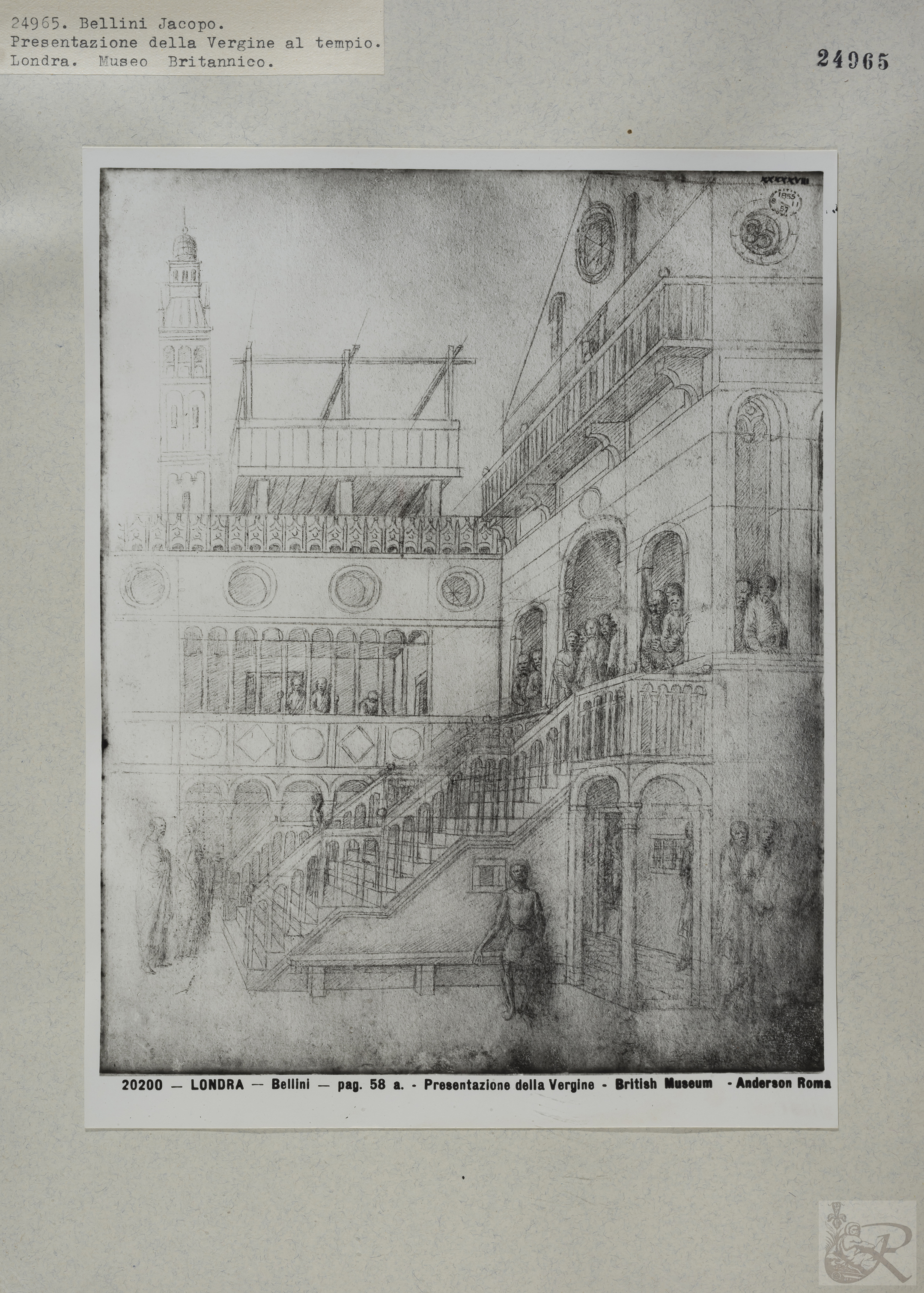 Immagine di anteprima