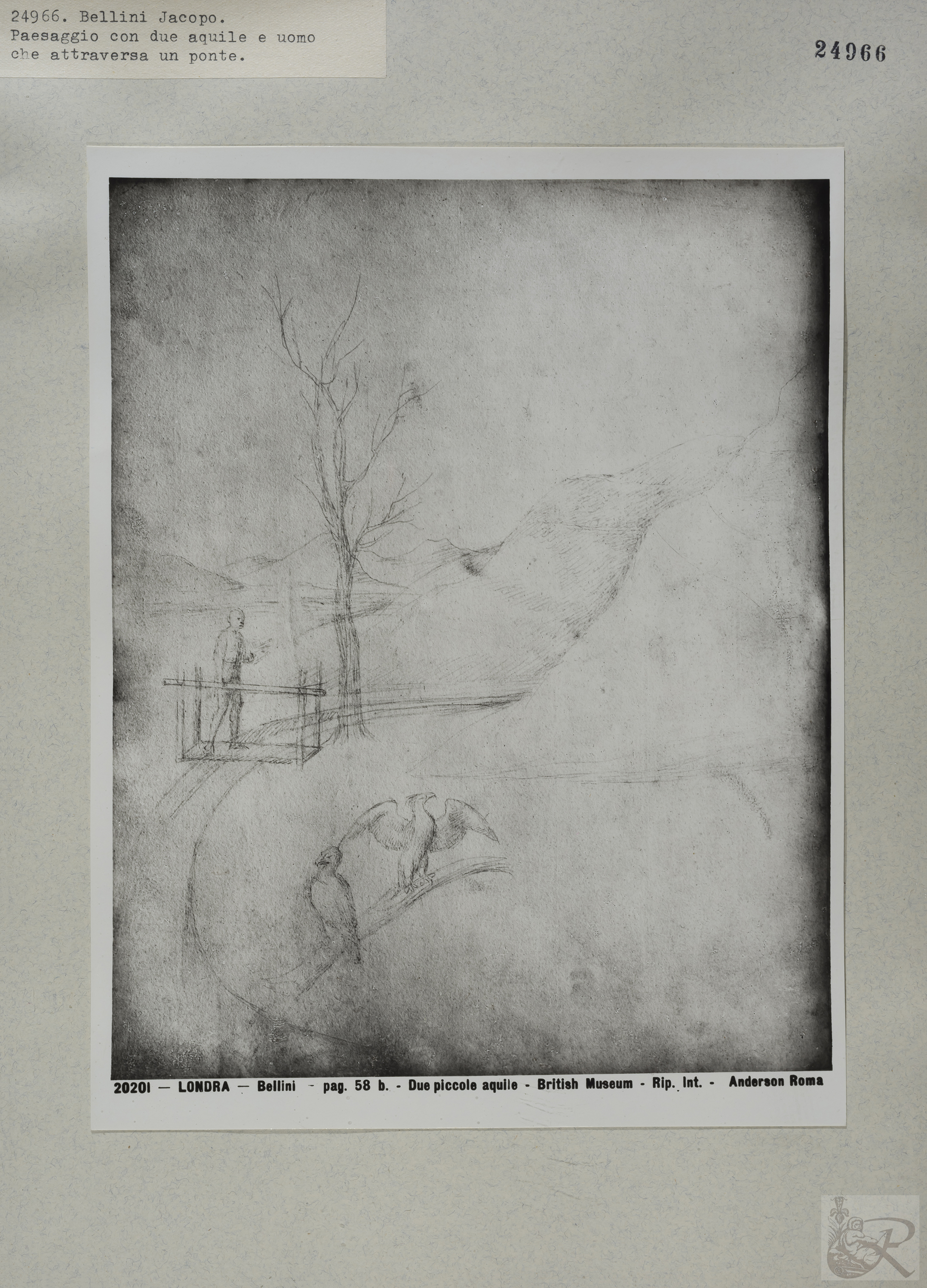 Immagine di anteprima