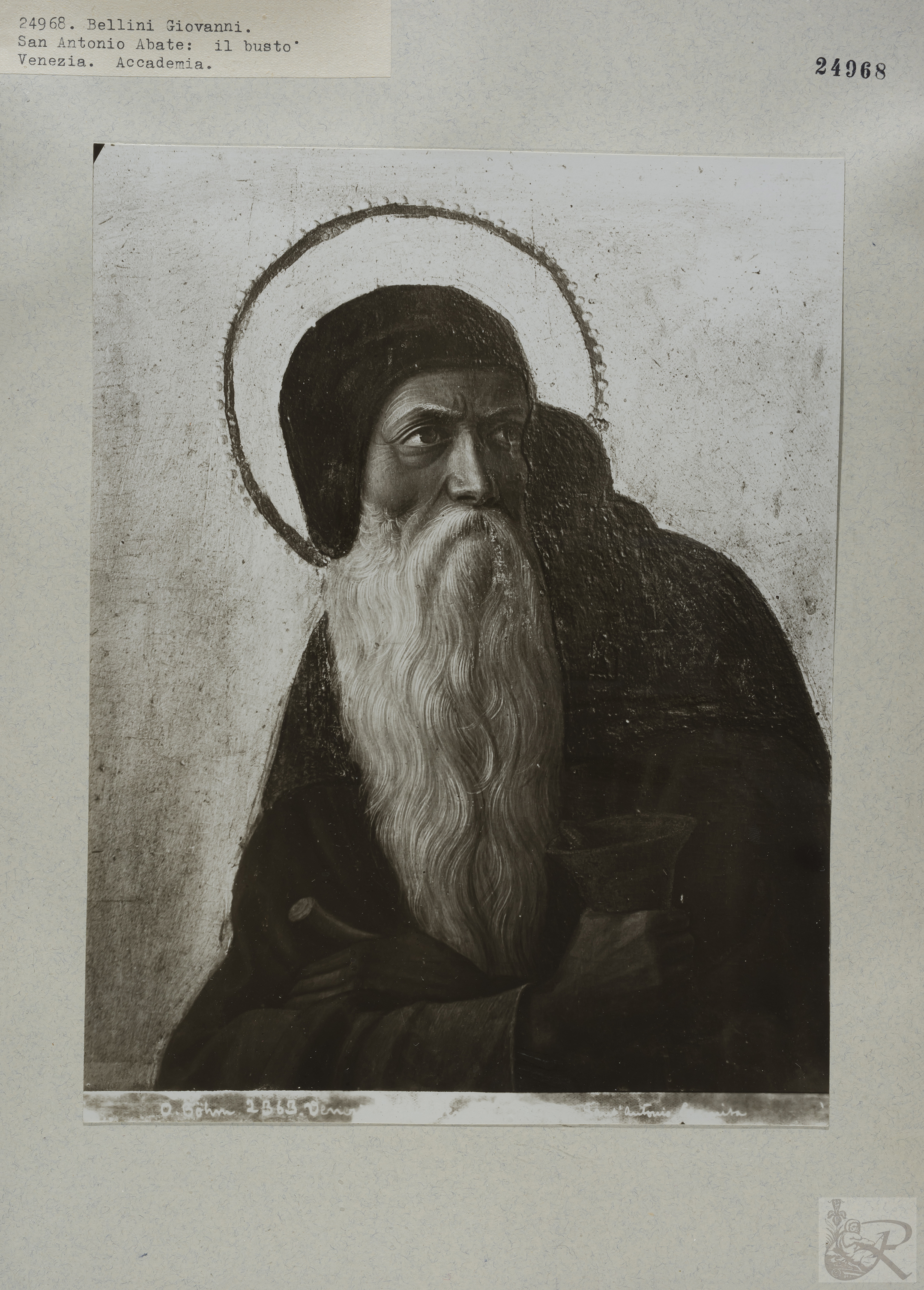 Immagine di anteprima