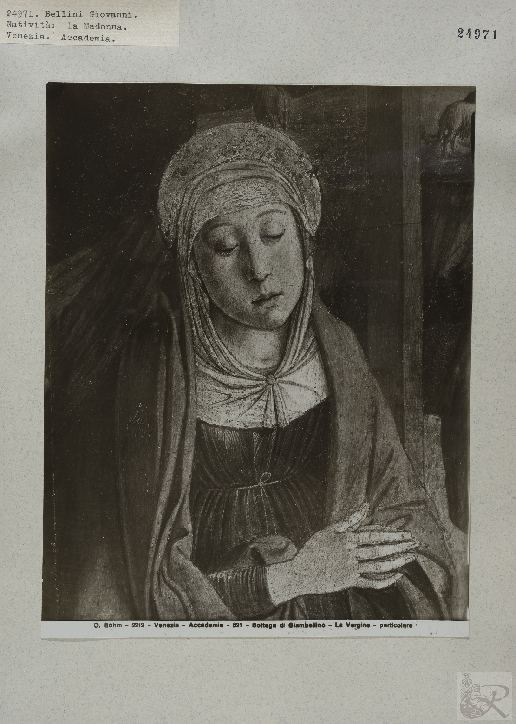 Immagine di anteprima