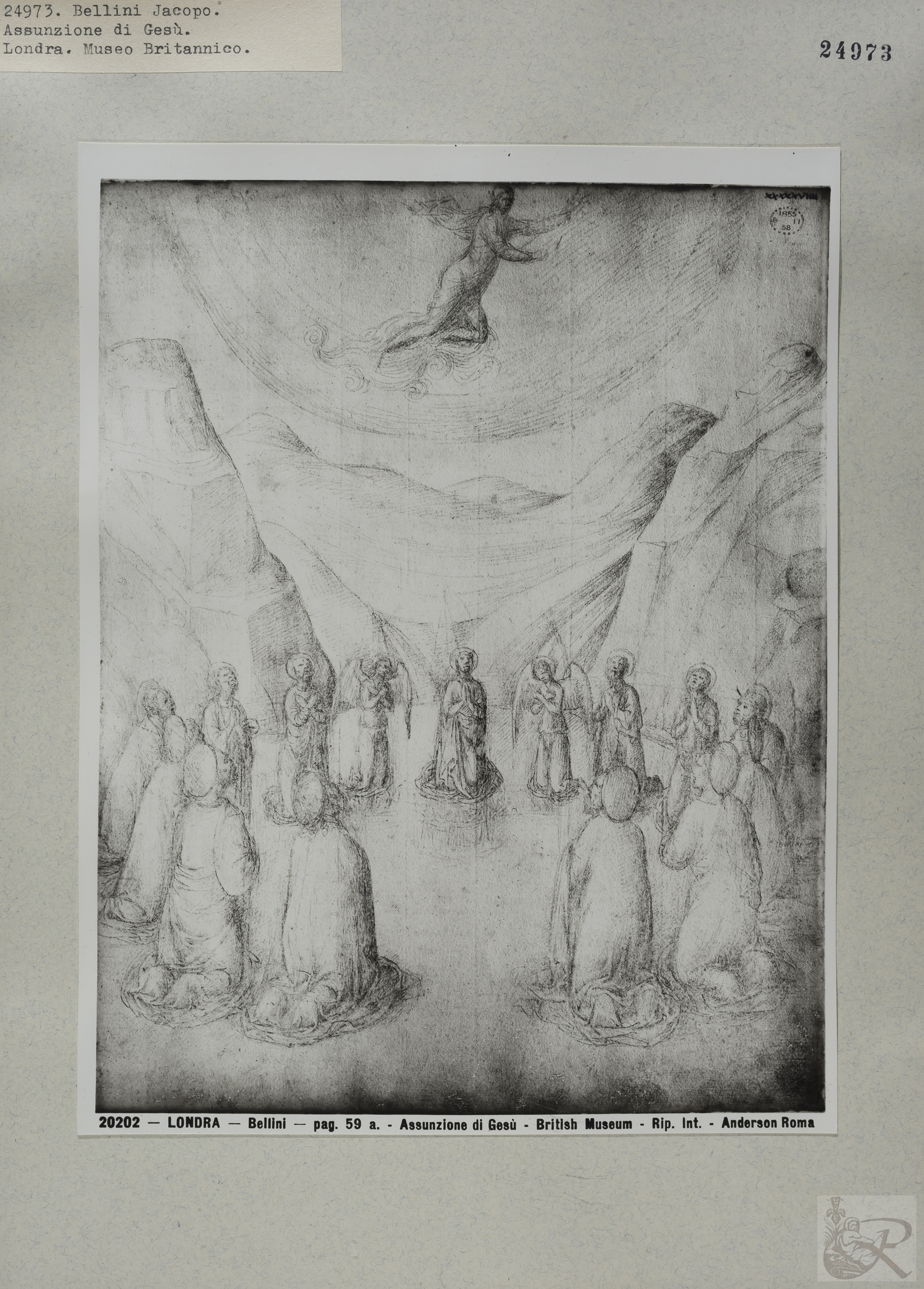 Immagine di anteprima