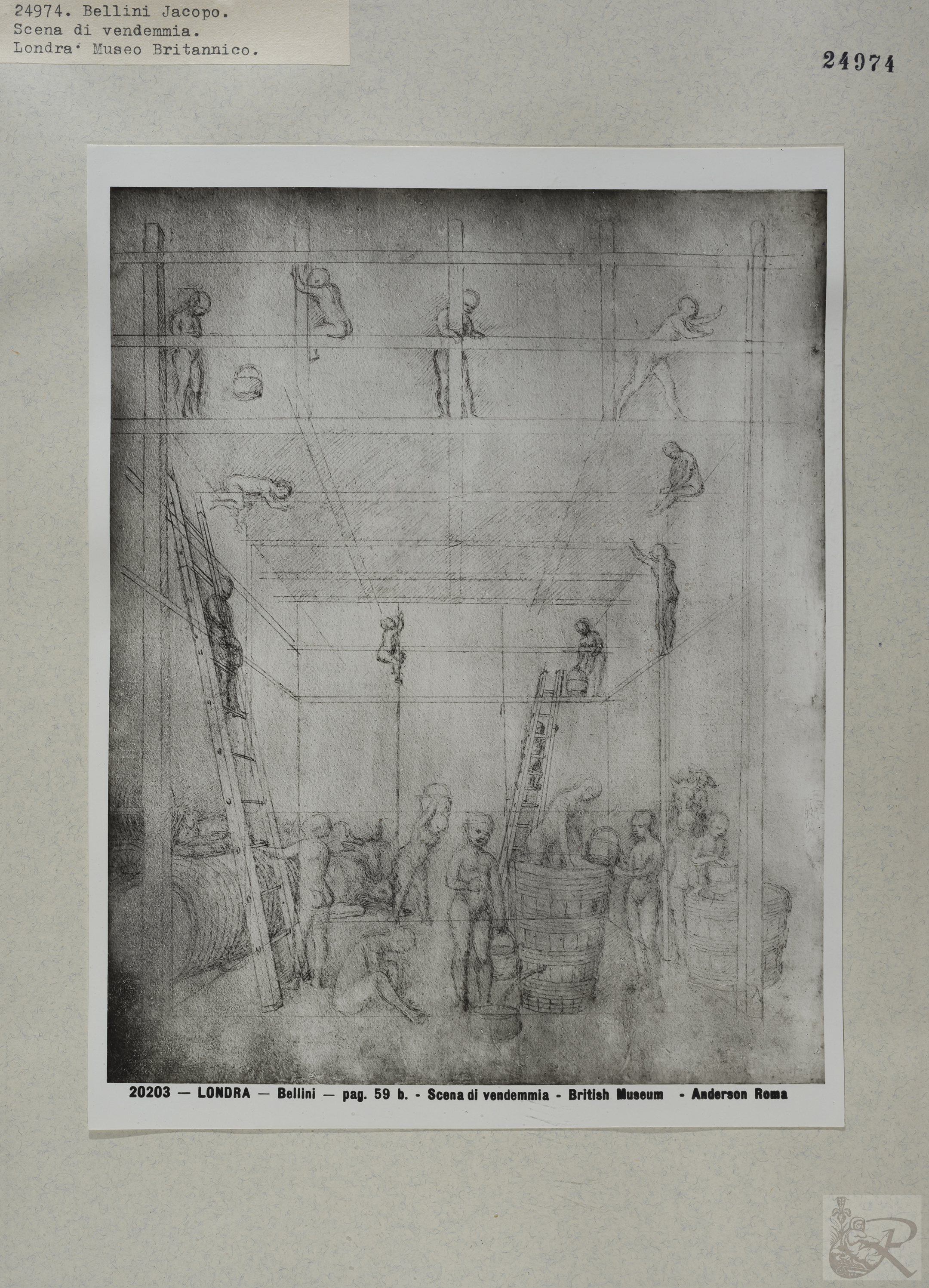 Immagine di anteprima