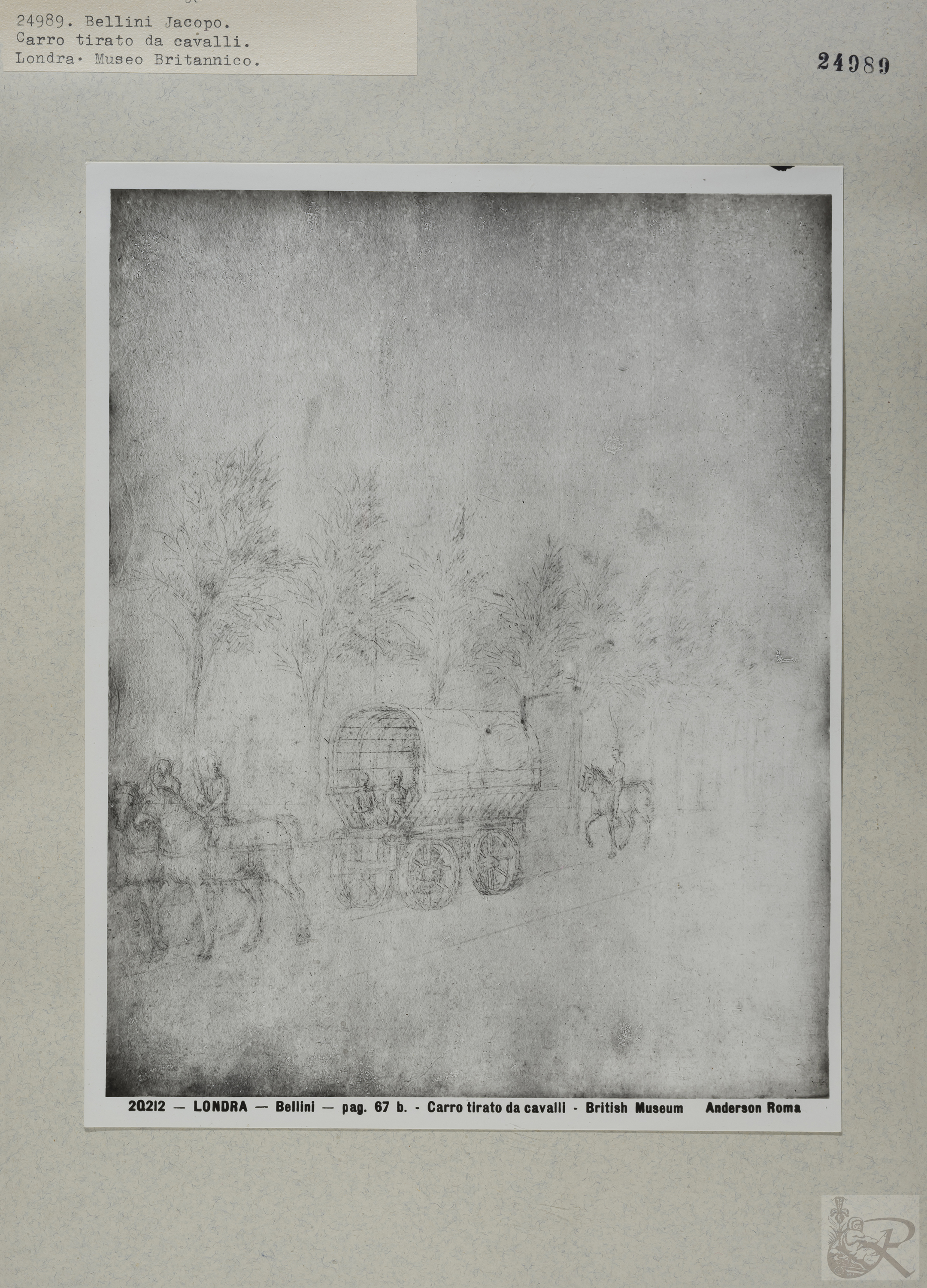 Immagine di anteprima