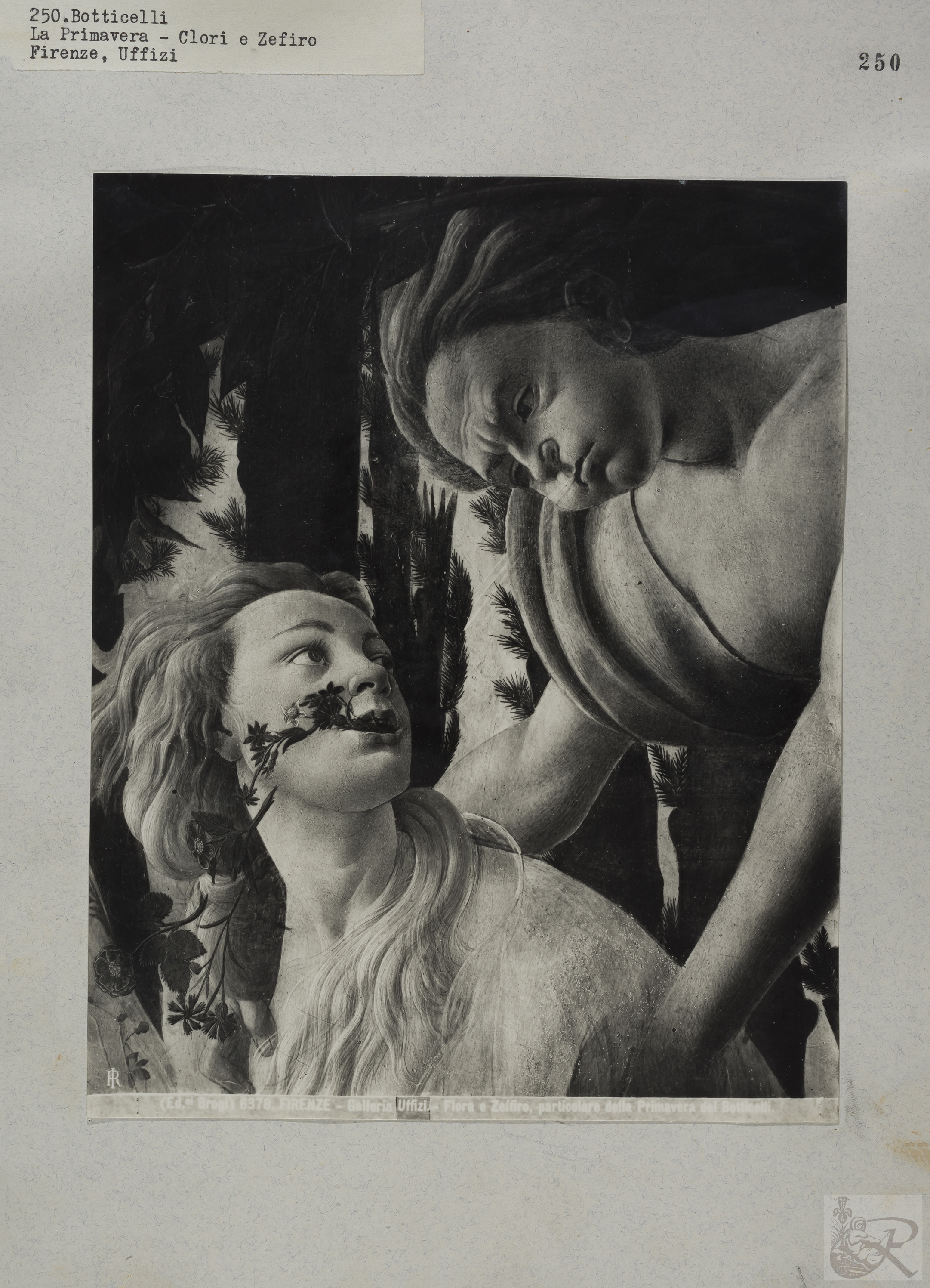 Immagine di anteprima