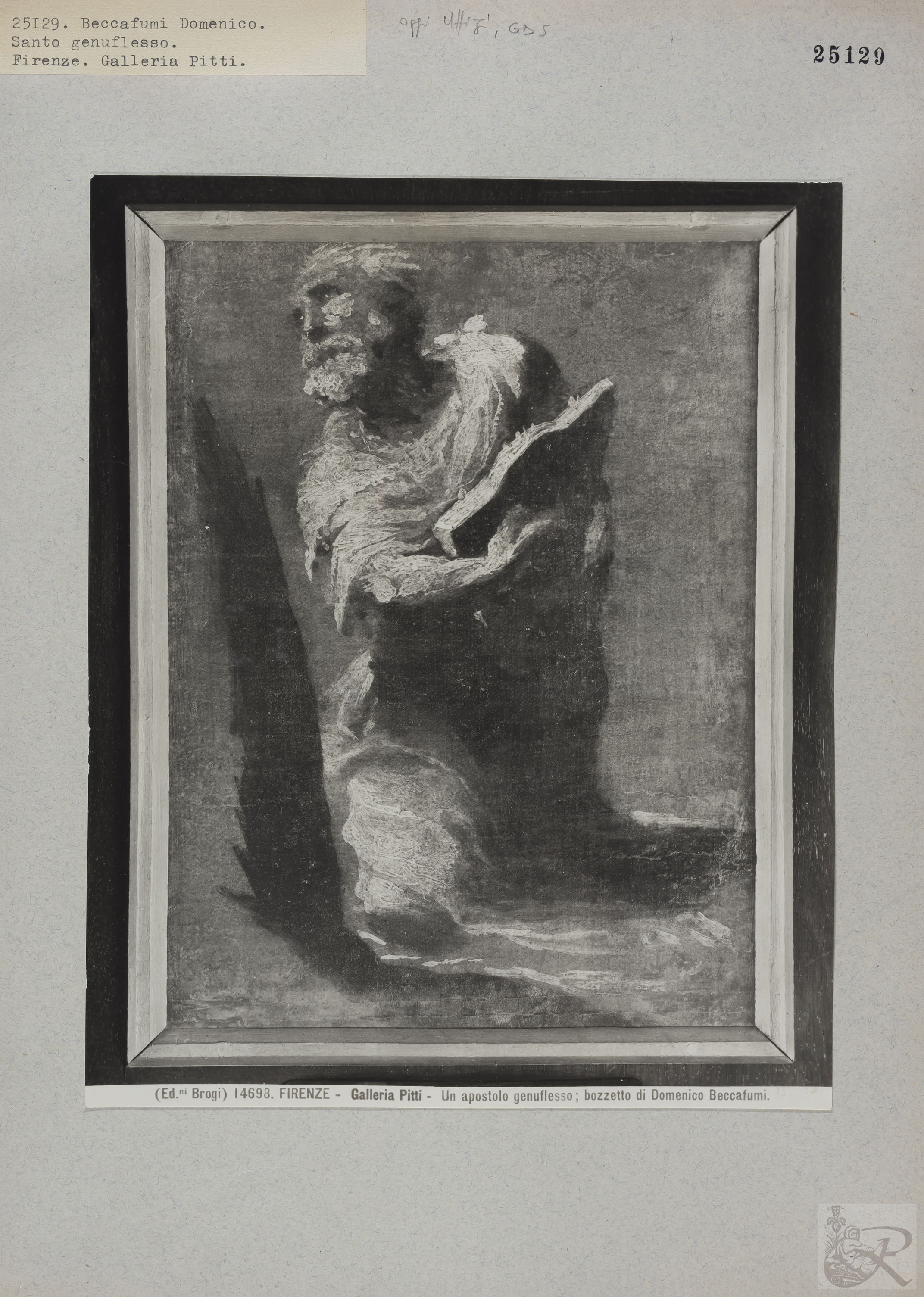 Immagine di anteprima