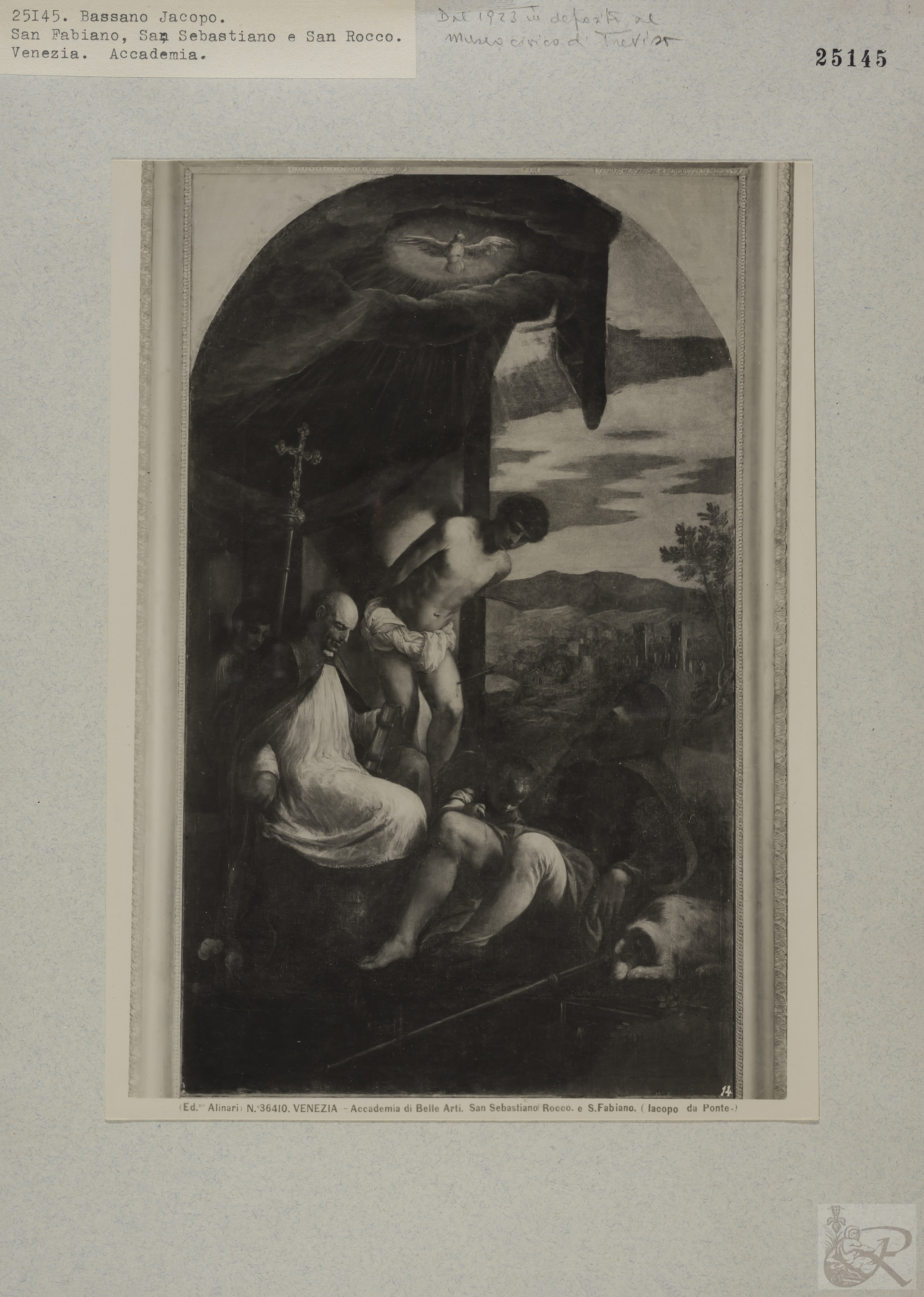 Immagine di anteprima