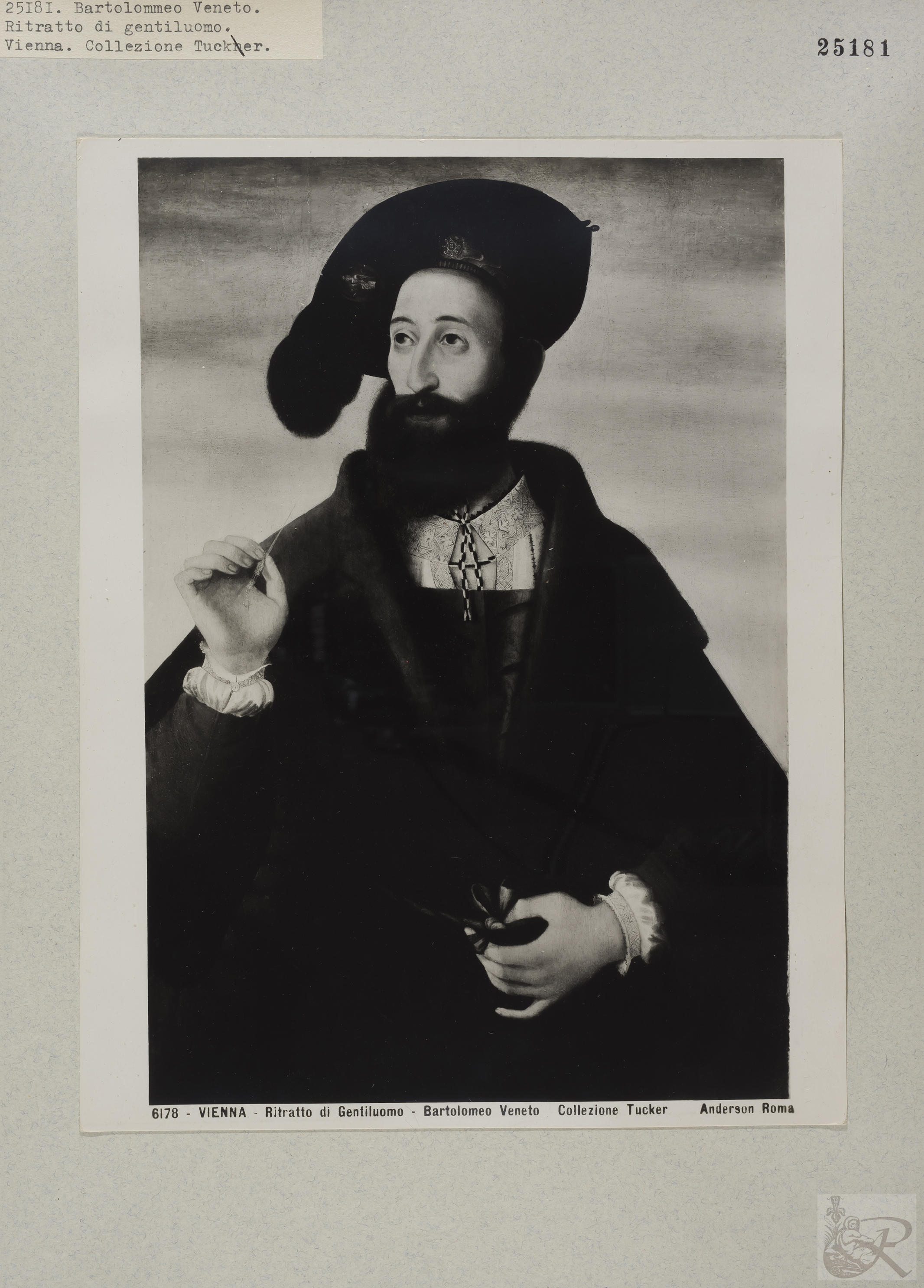 Immagine di anteprima