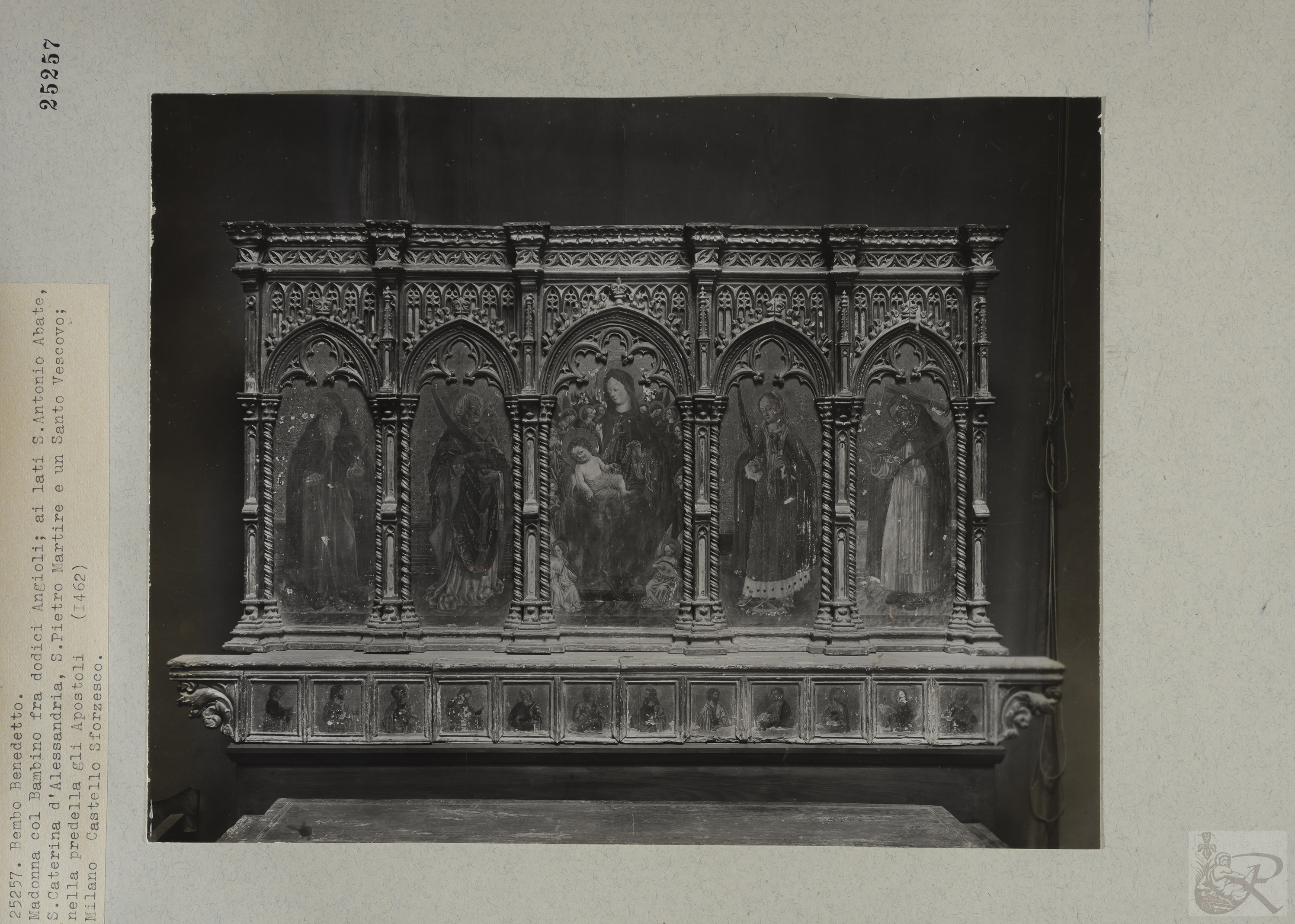 Immagine di anteprima