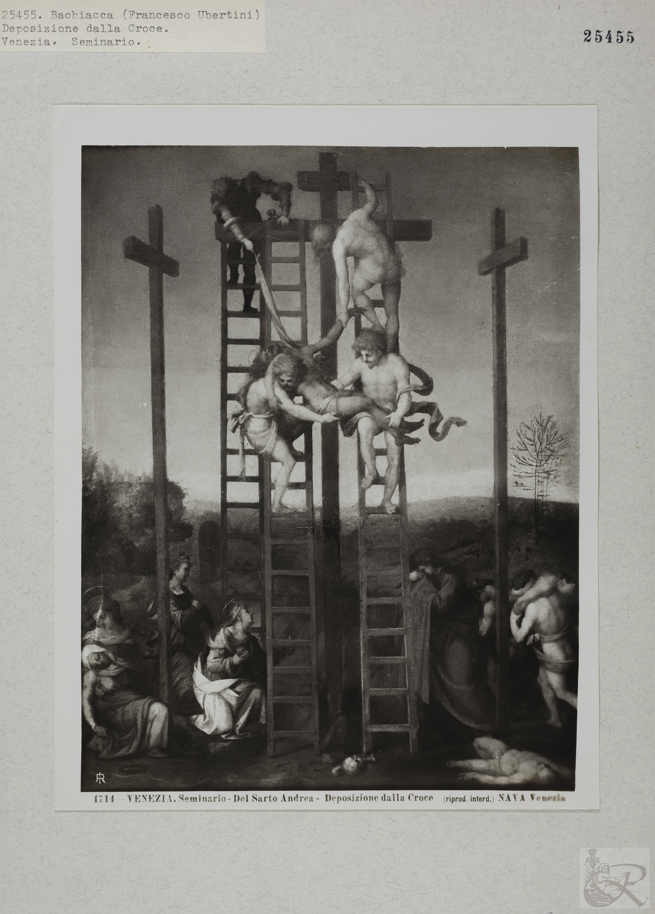 Immagine di anteprima