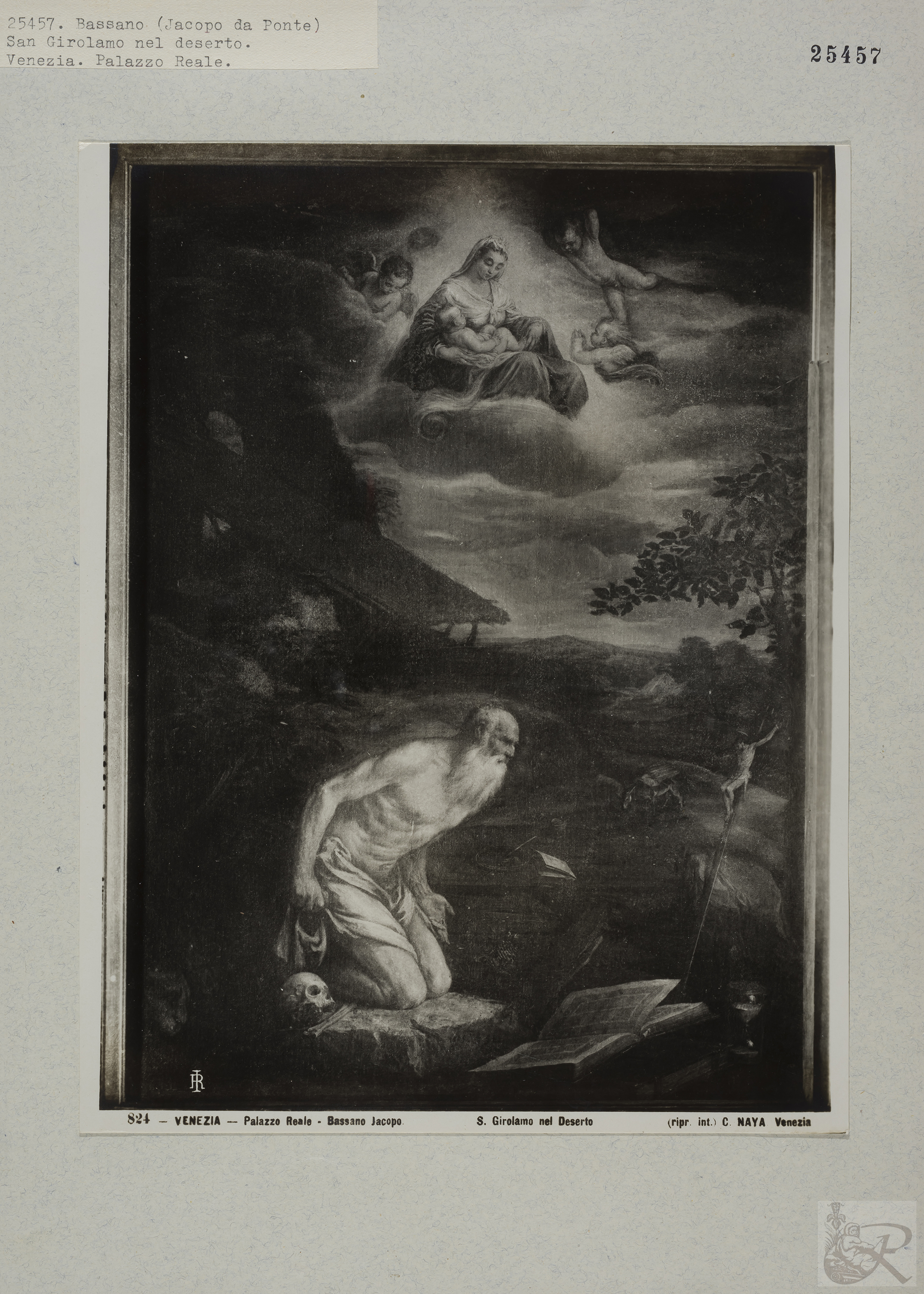 Immagine di anteprima