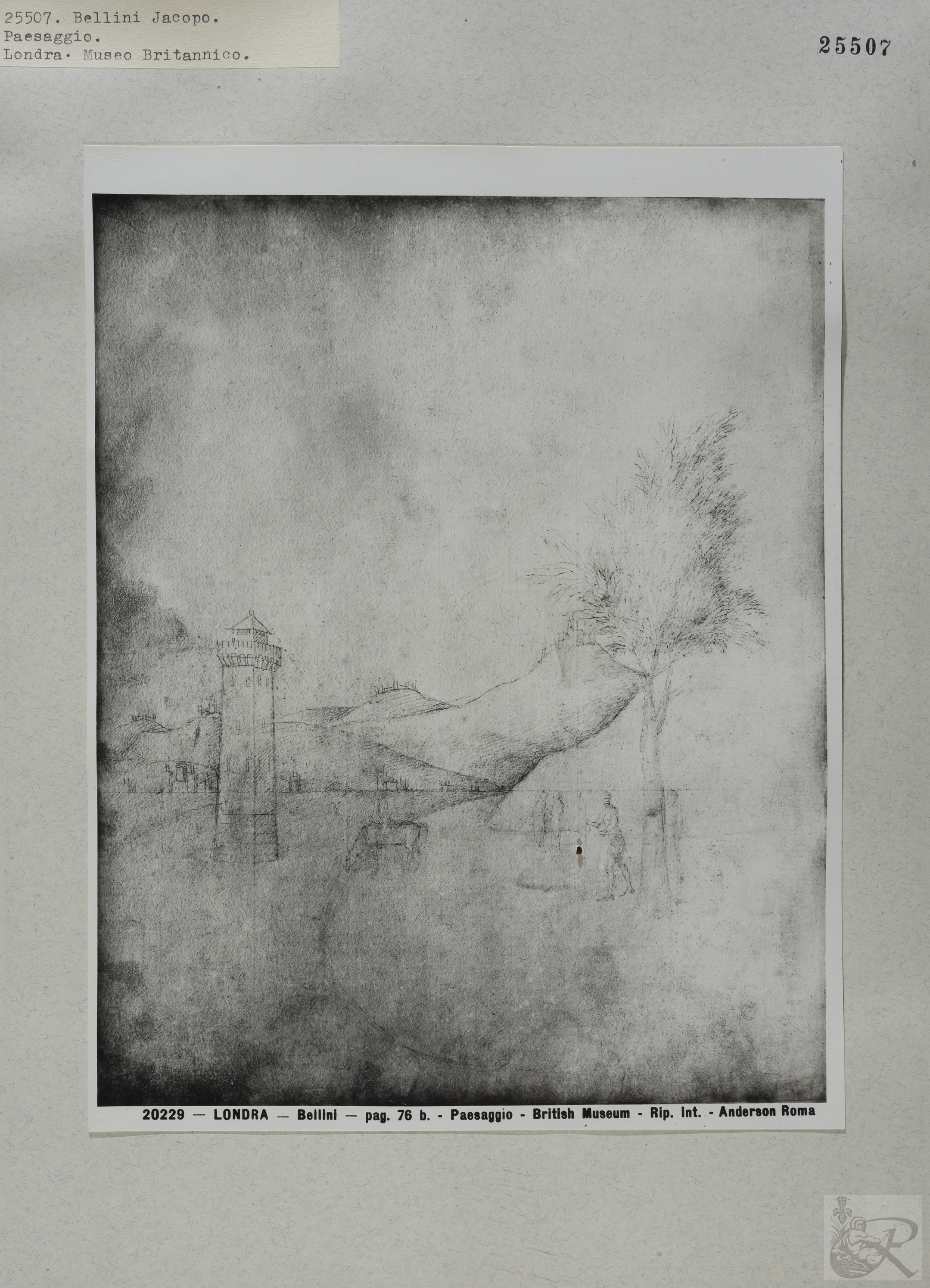 Immagine di anteprima