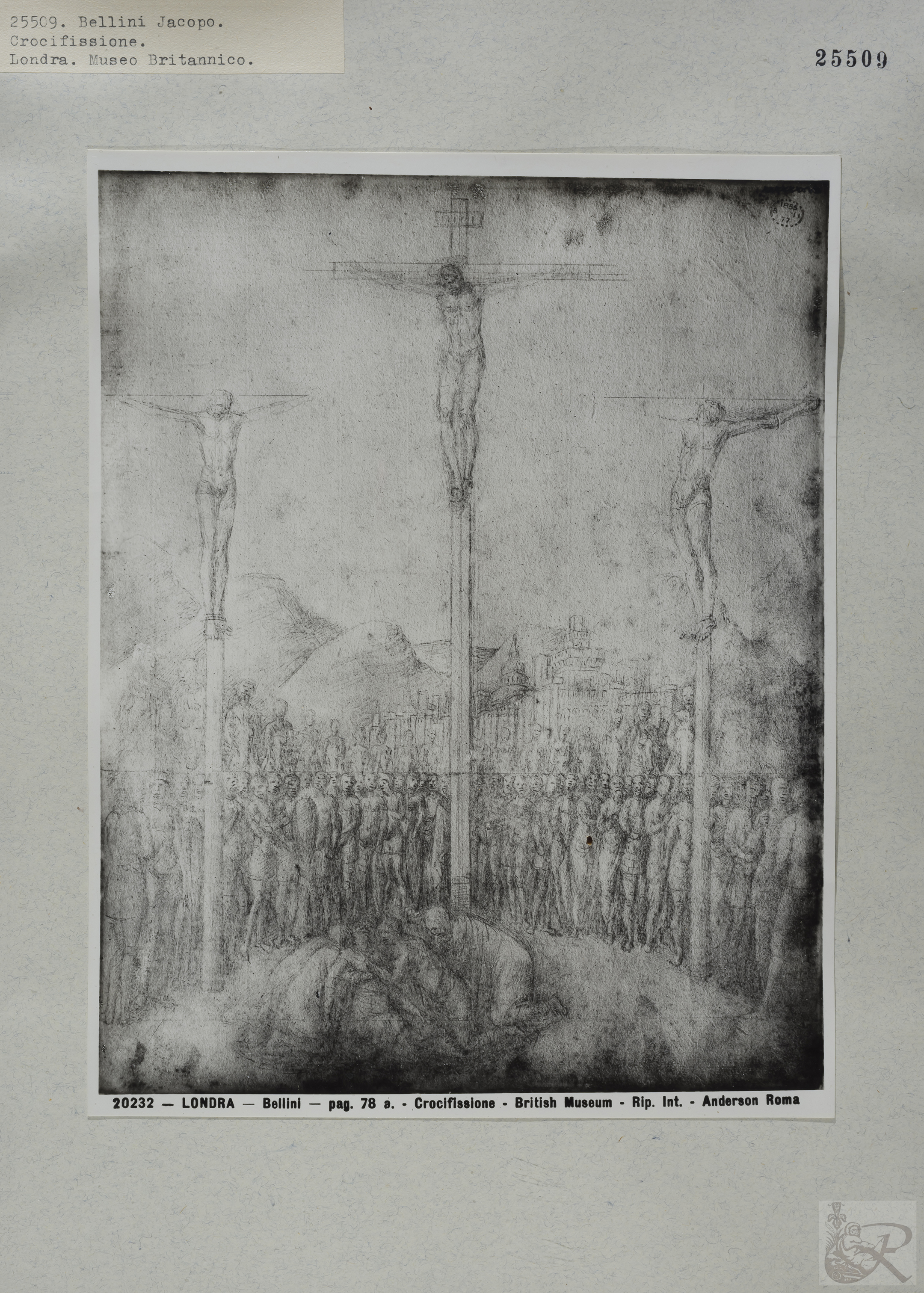 Immagine di anteprima