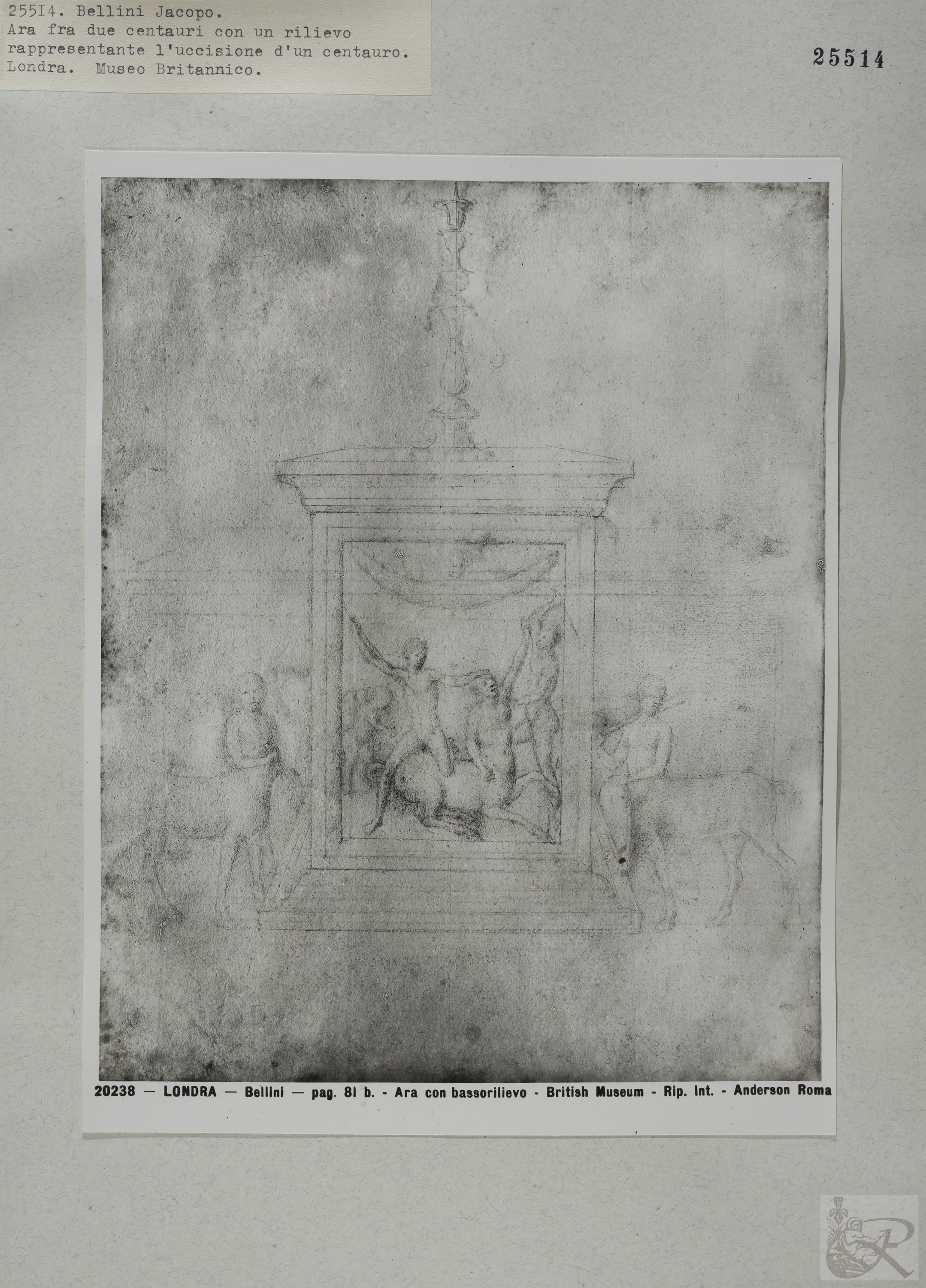 Immagine di anteprima