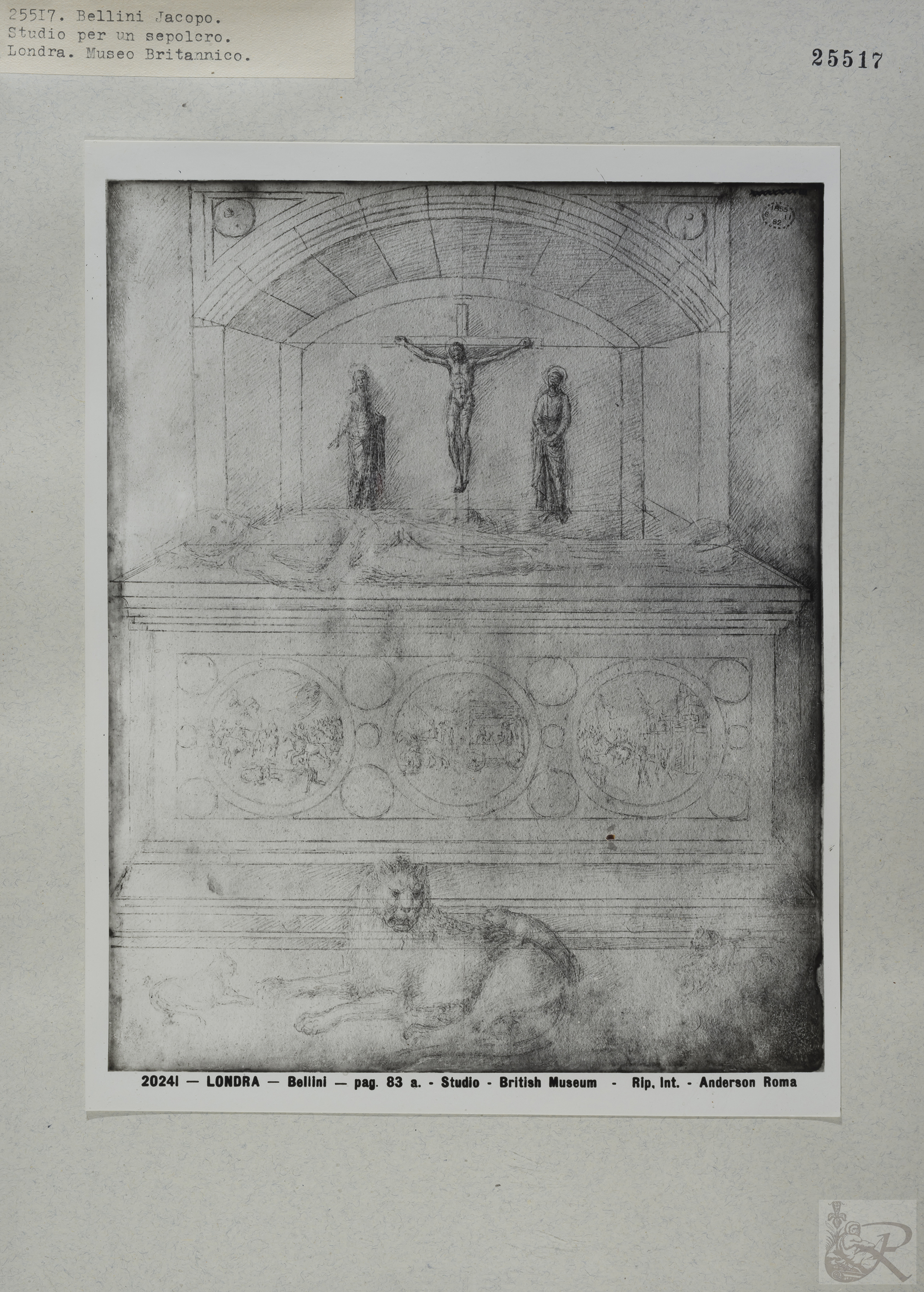 Immagine di anteprima