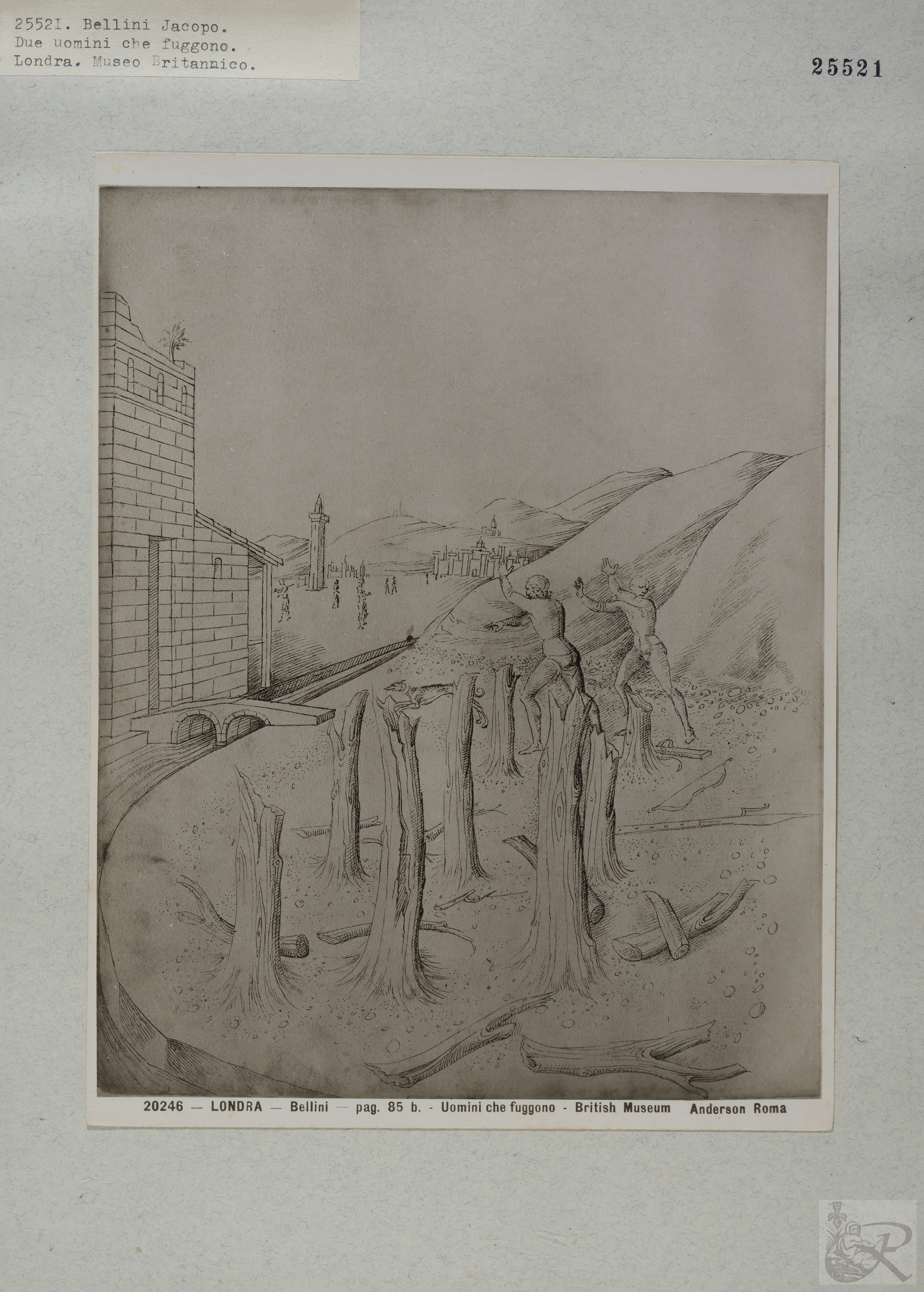 Immagine di anteprima