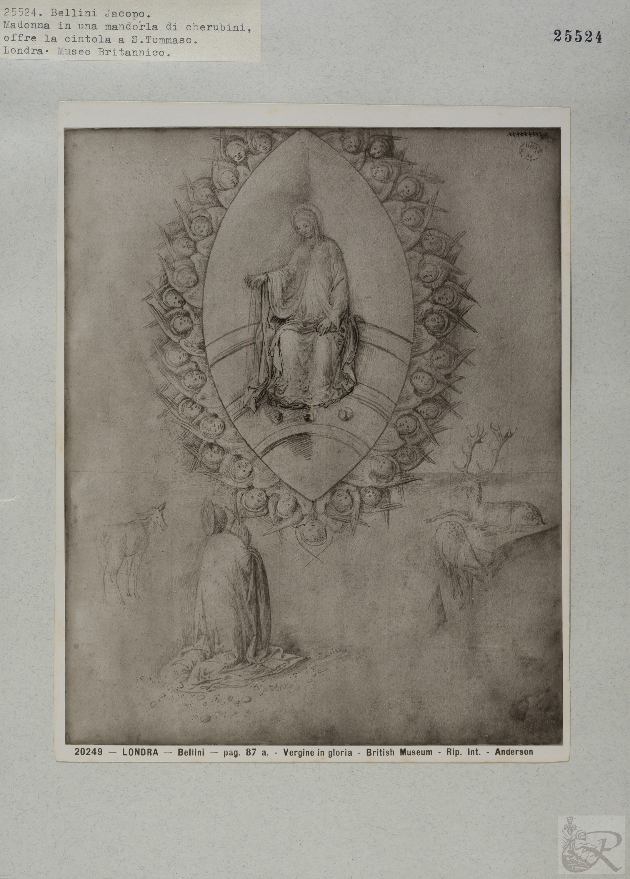 Immagine di anteprima