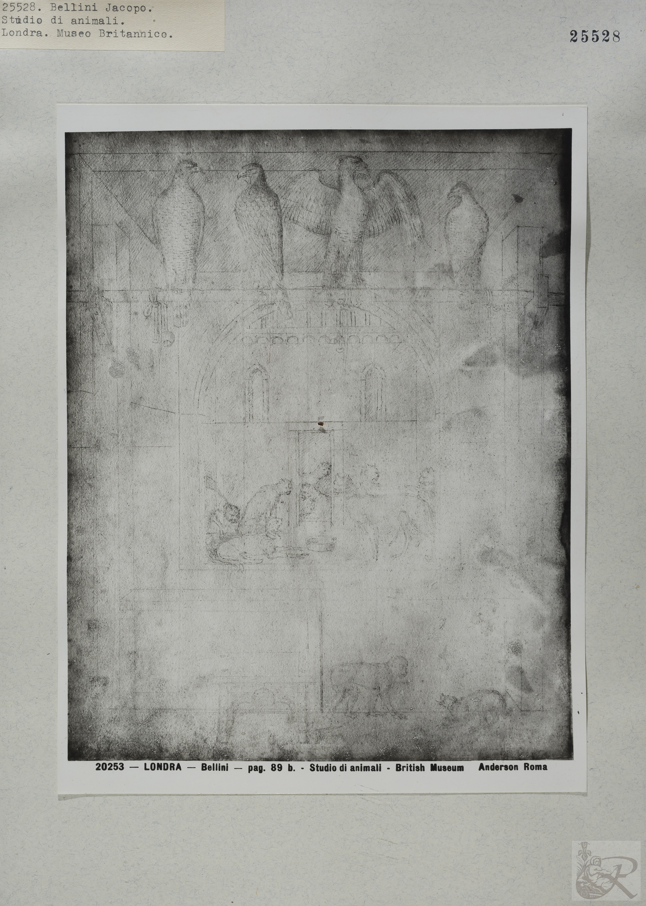 Immagine di anteprima