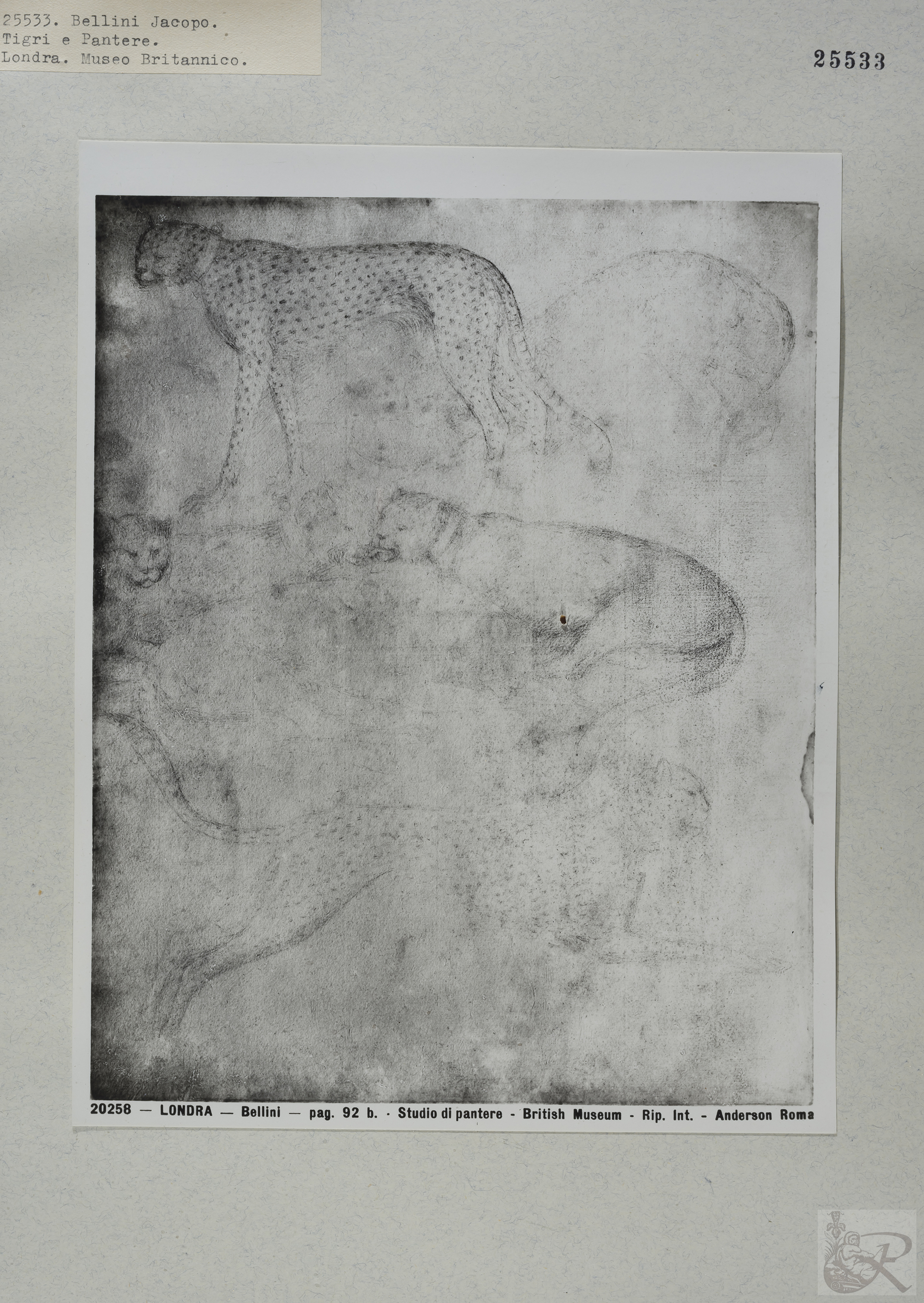 Immagine di anteprima