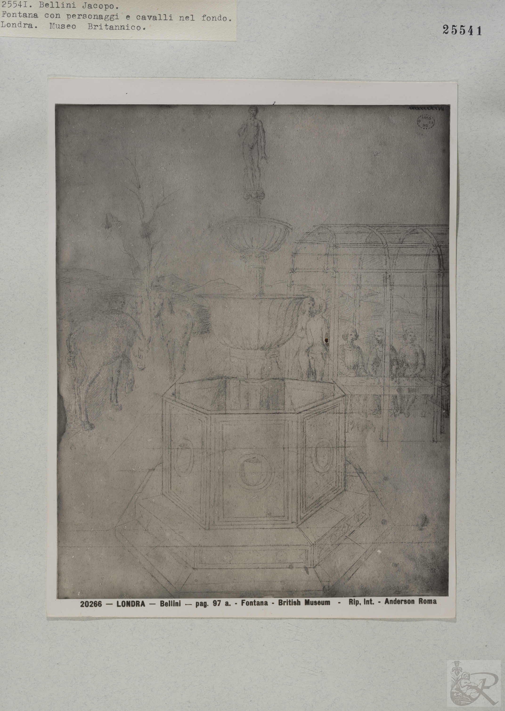 Immagine di anteprima