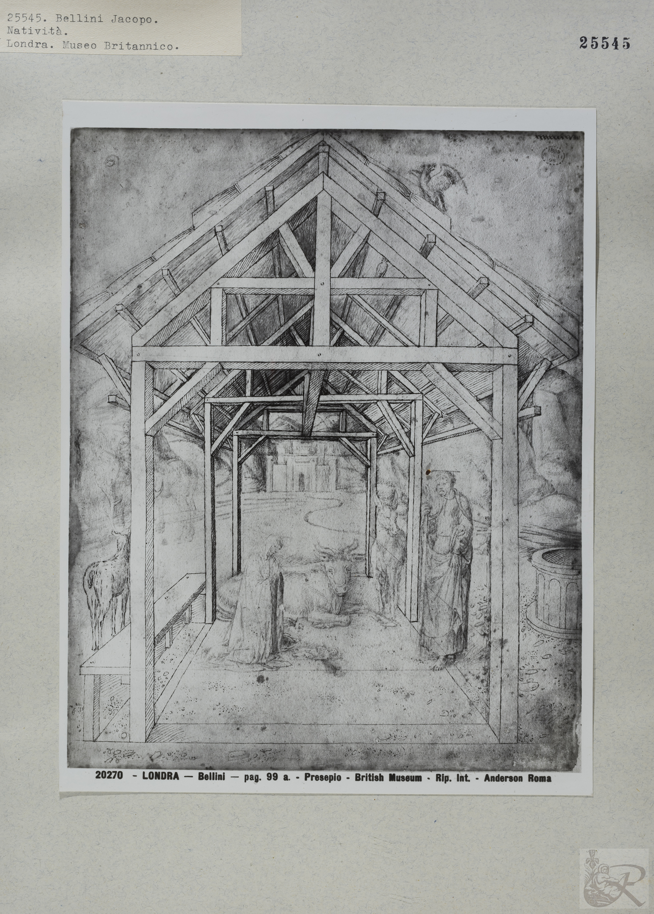 Immagine di anteprima