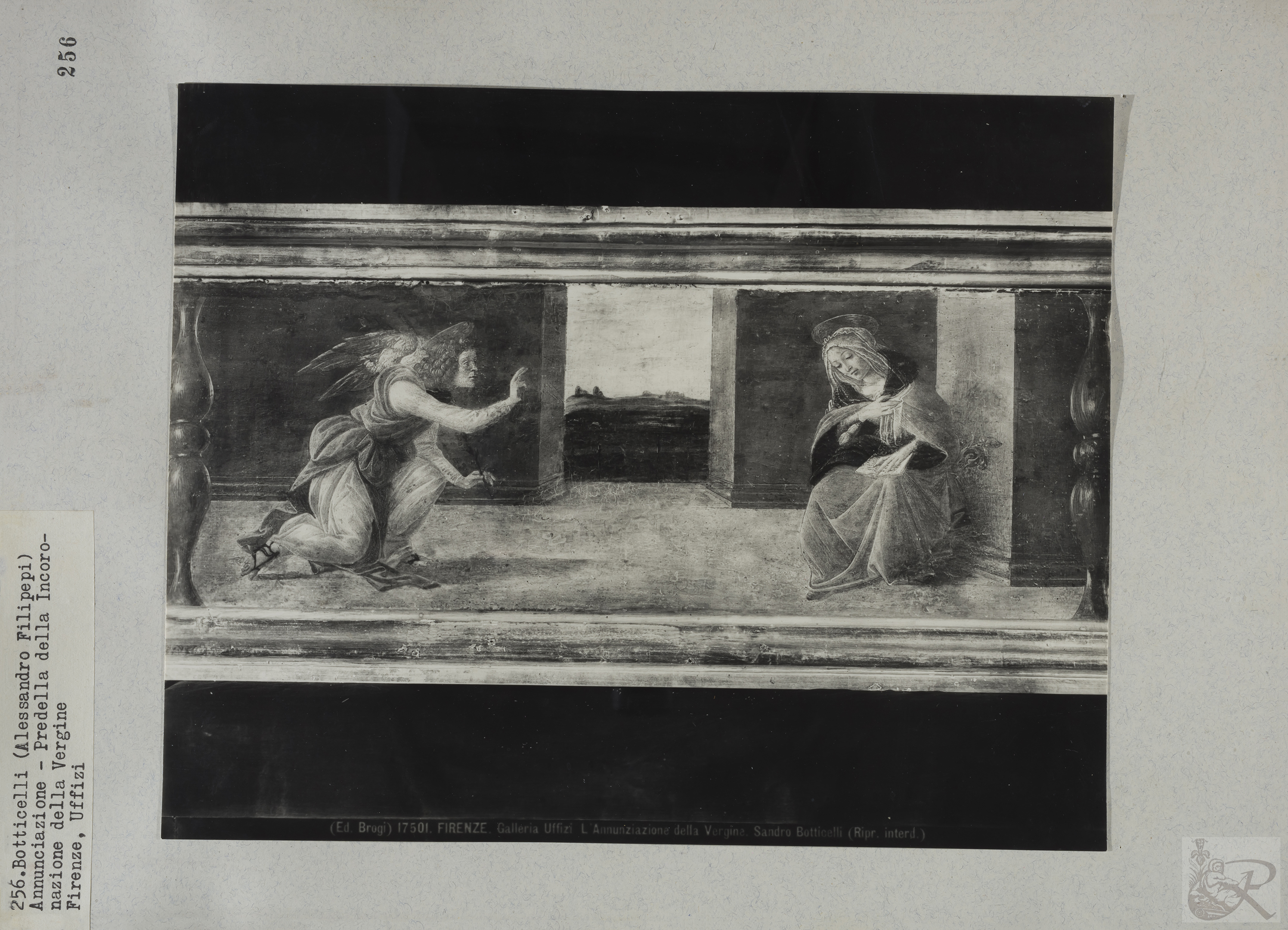 Immagine di anteprima