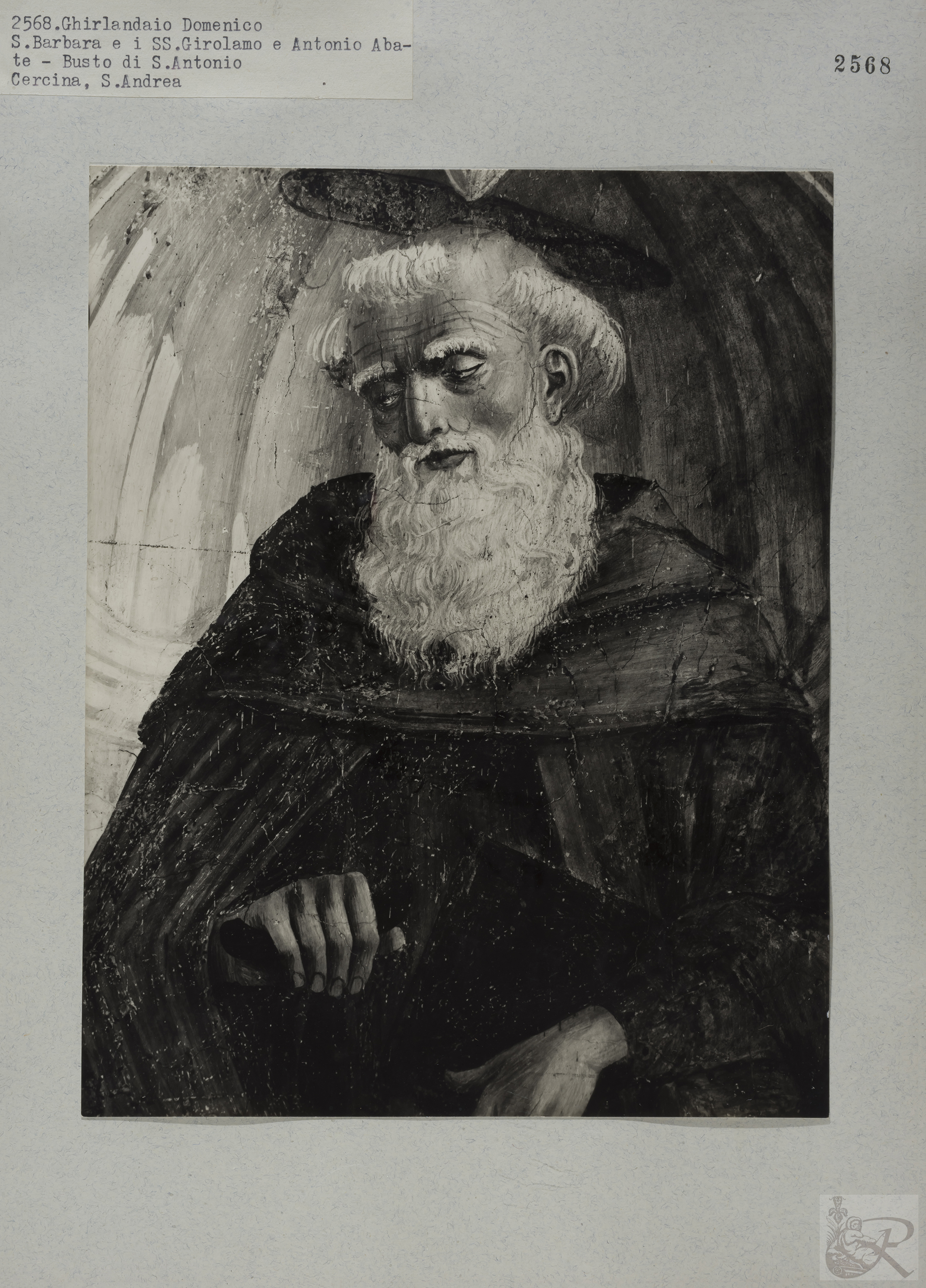 Immagine di anteprima