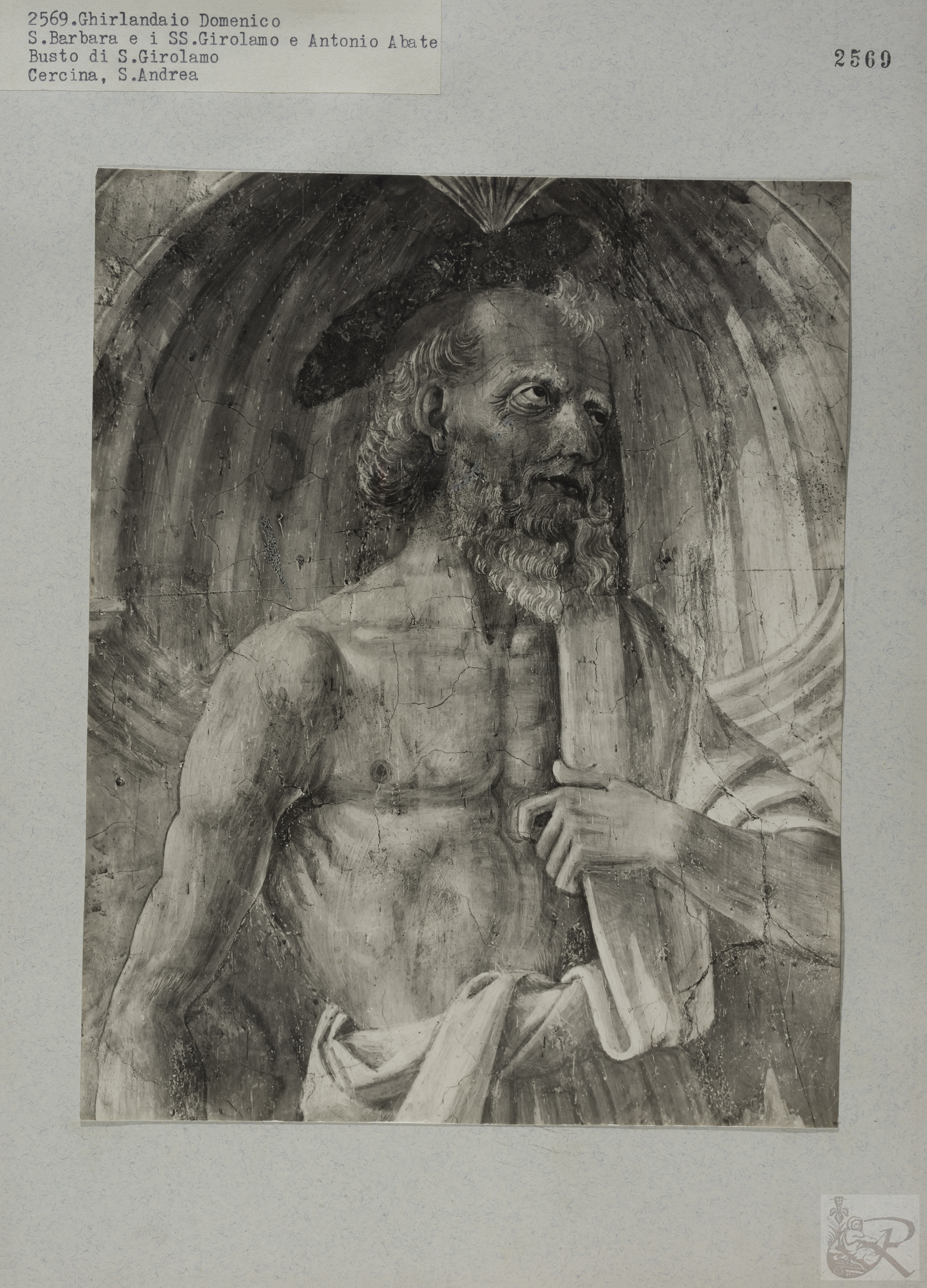 Immagine di anteprima