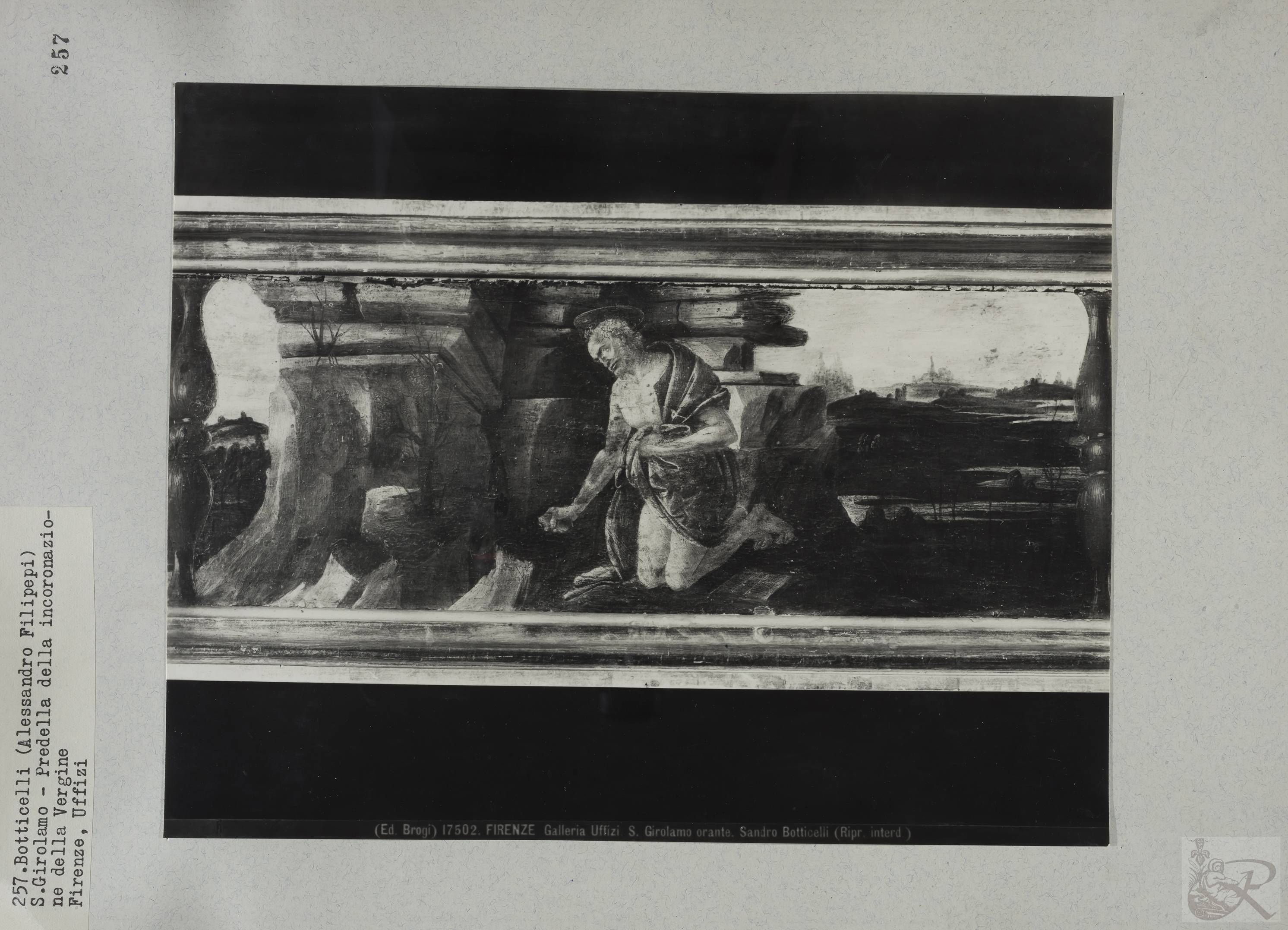 Immagine di anteprima