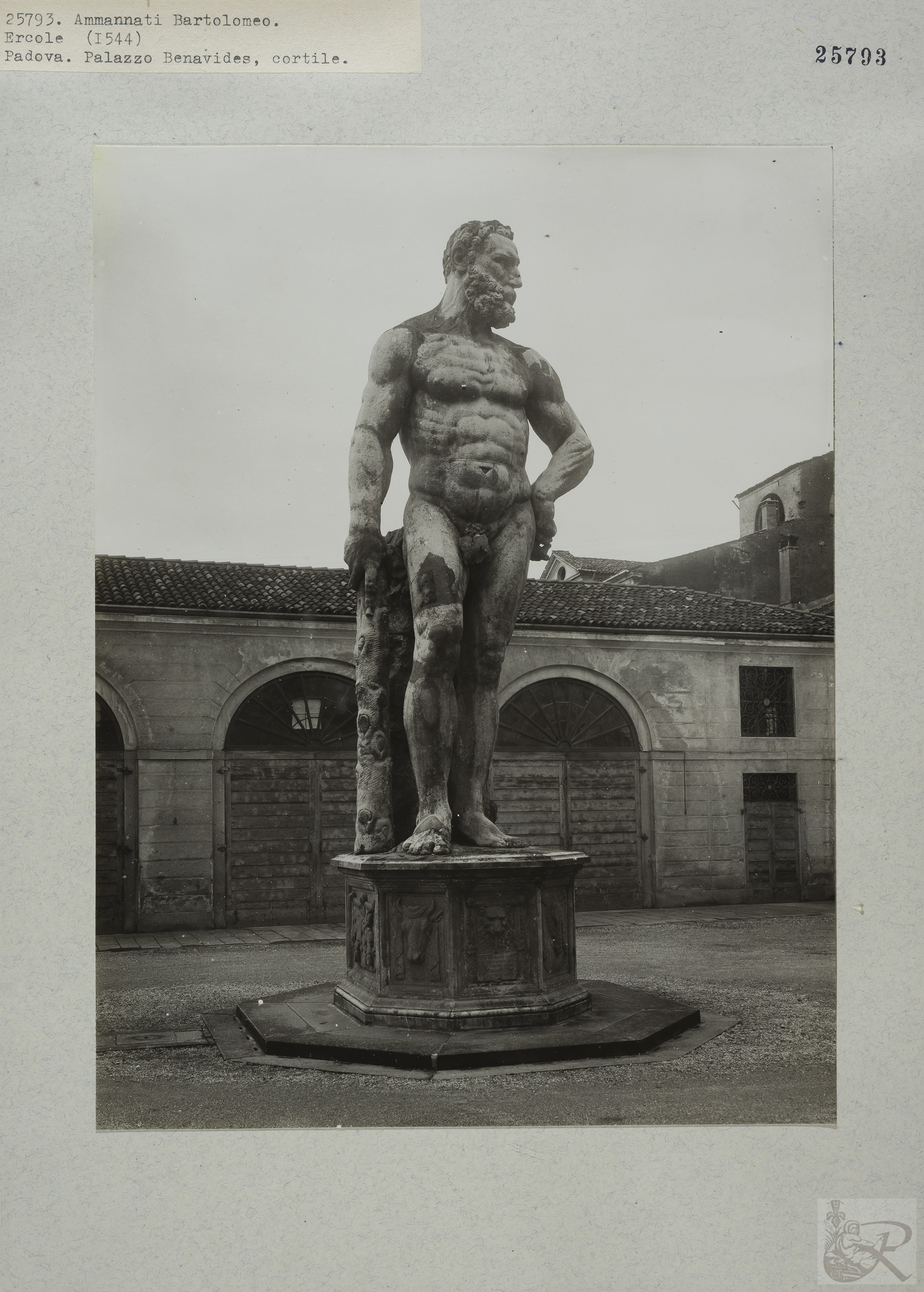 Immagine di anteprima