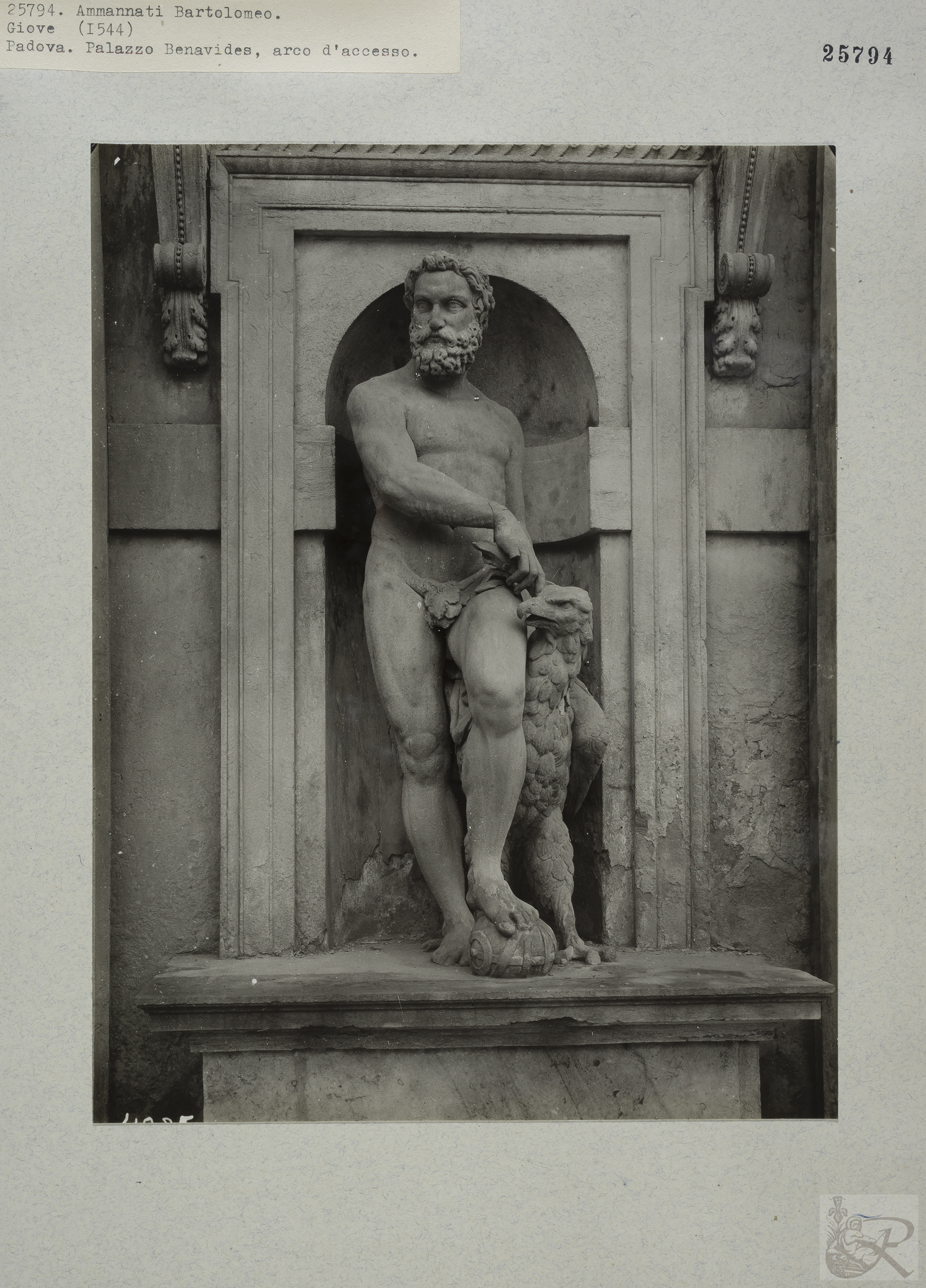 Immagine di anteprima