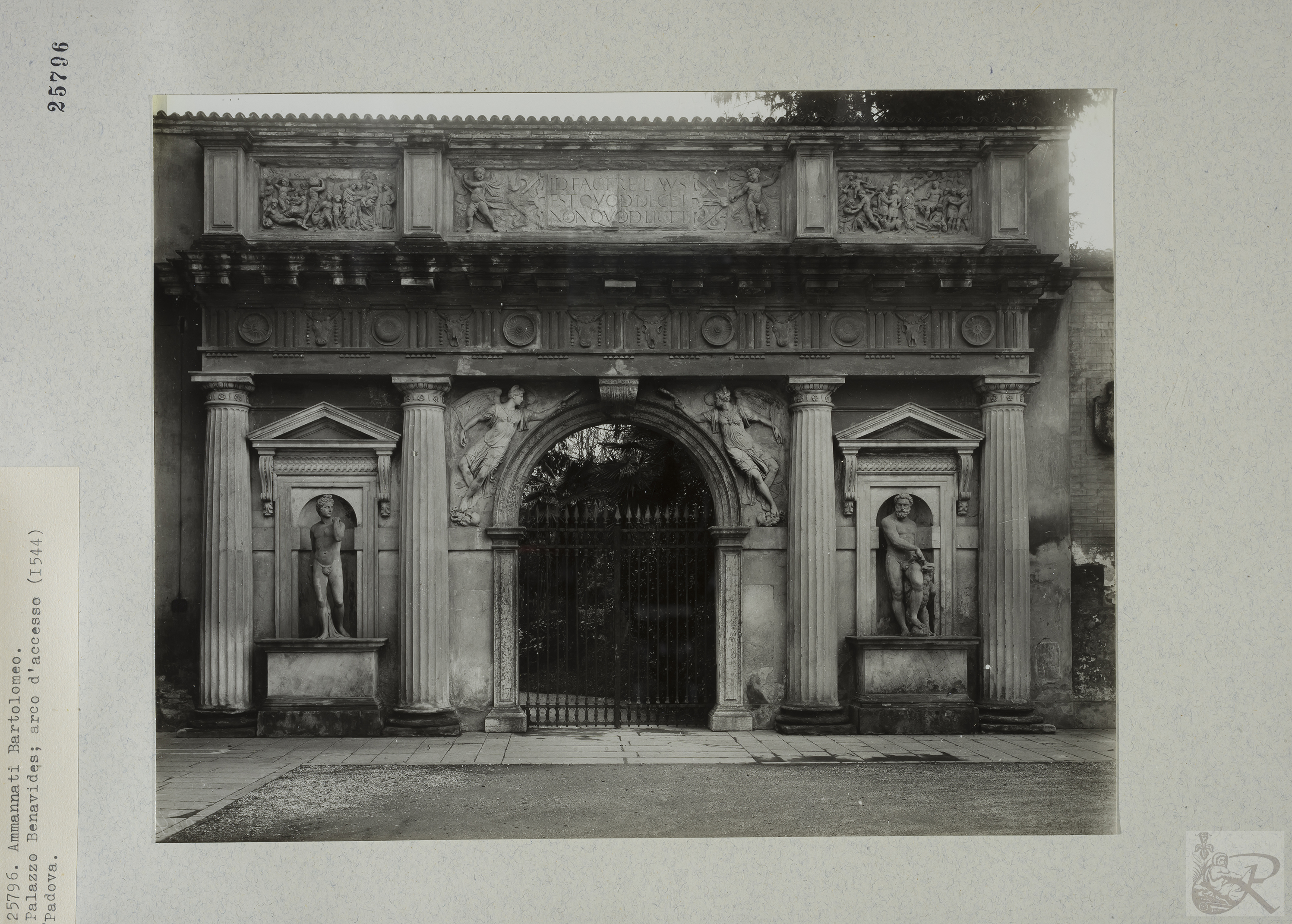 Immagine di anteprima