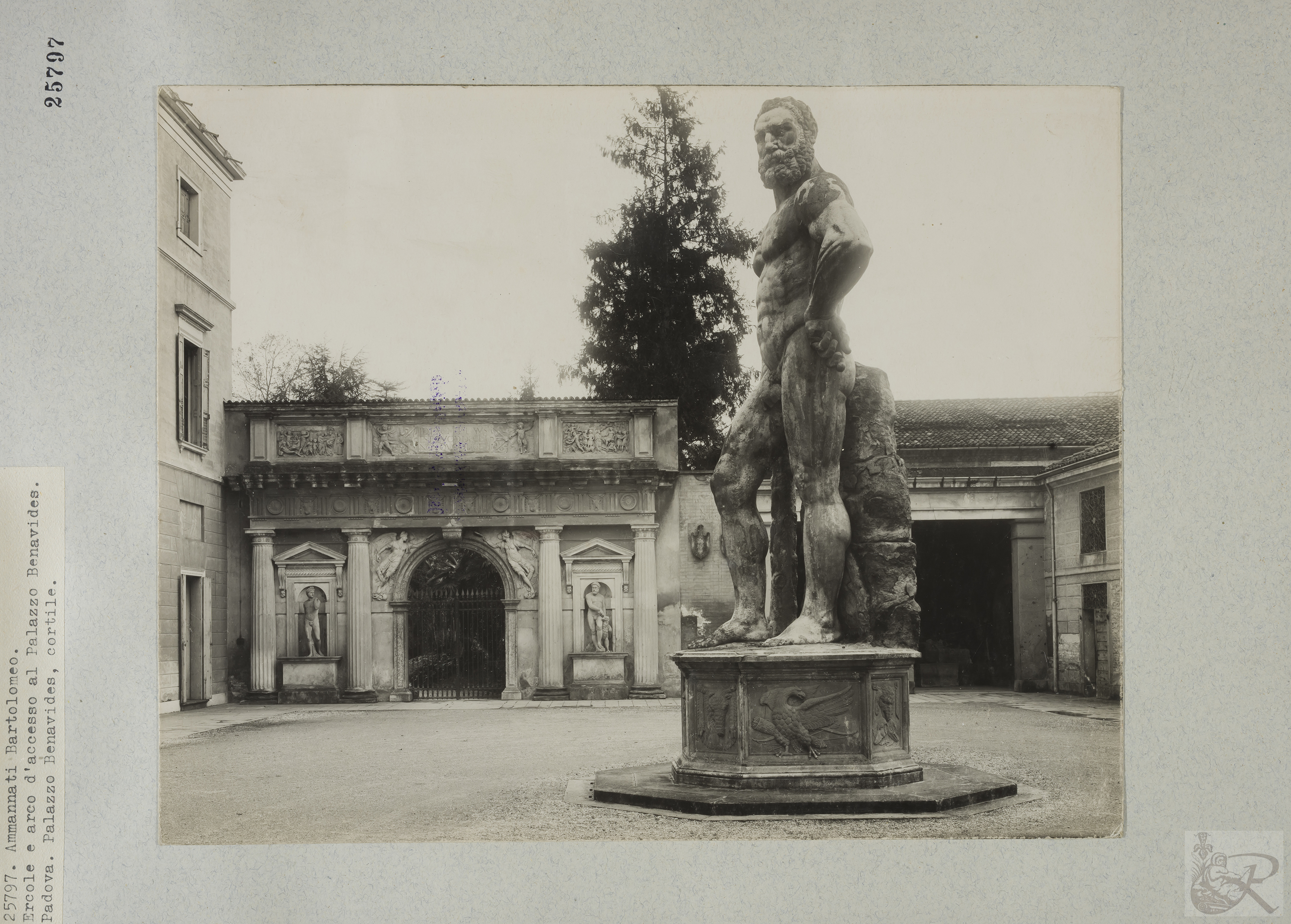 Immagine di anteprima