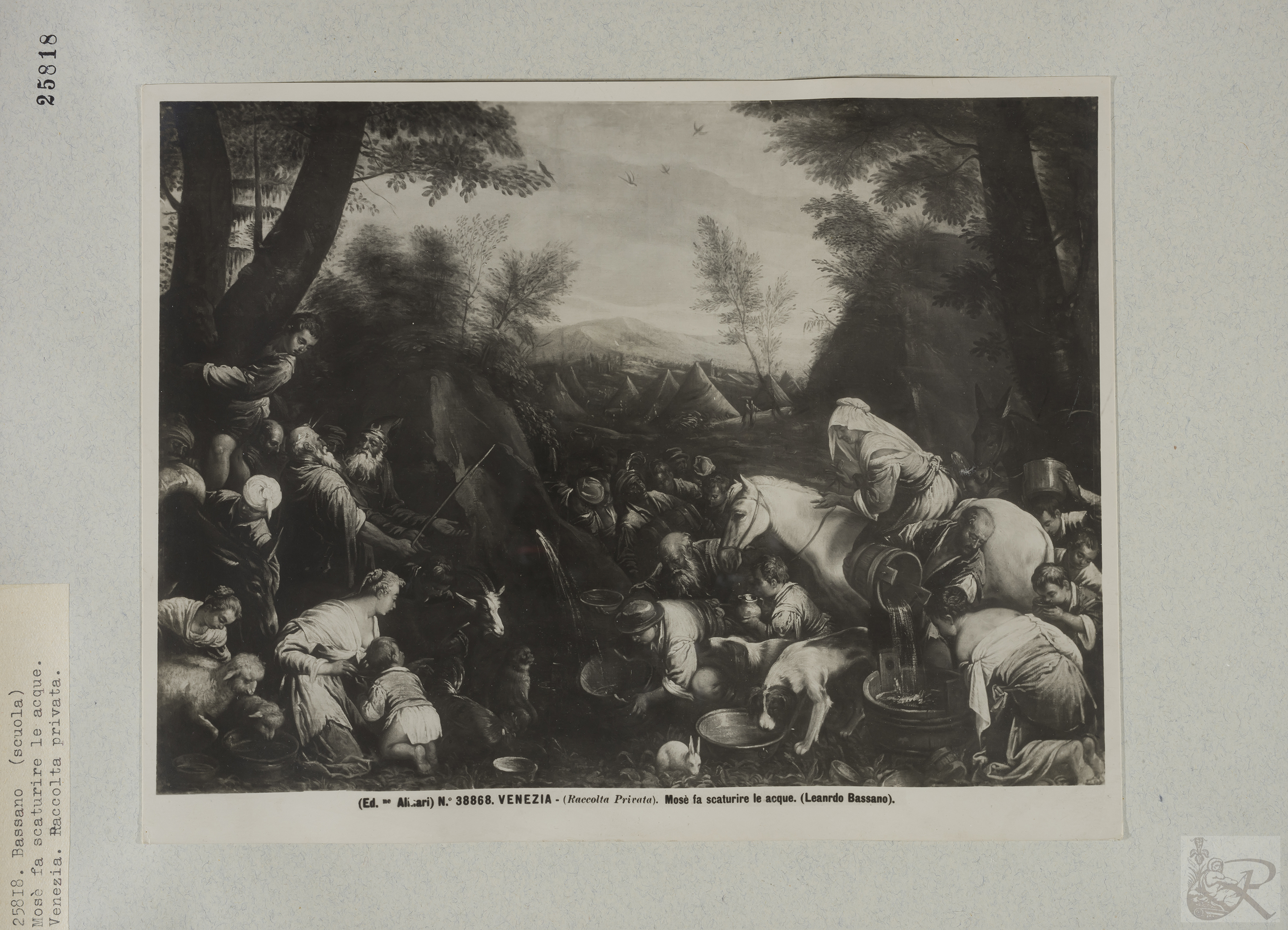 Immagine di anteprima