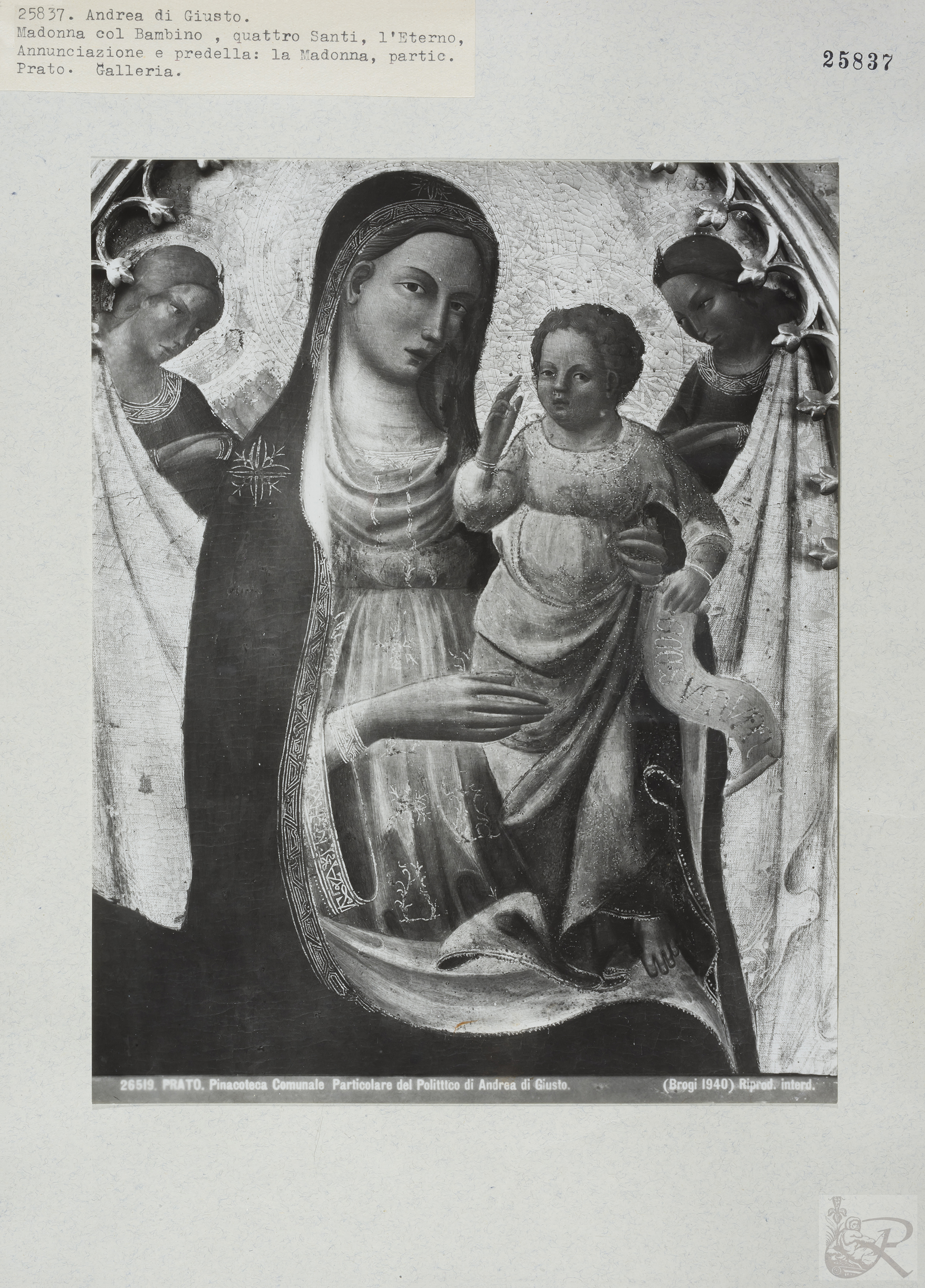 Immagine di anteprima